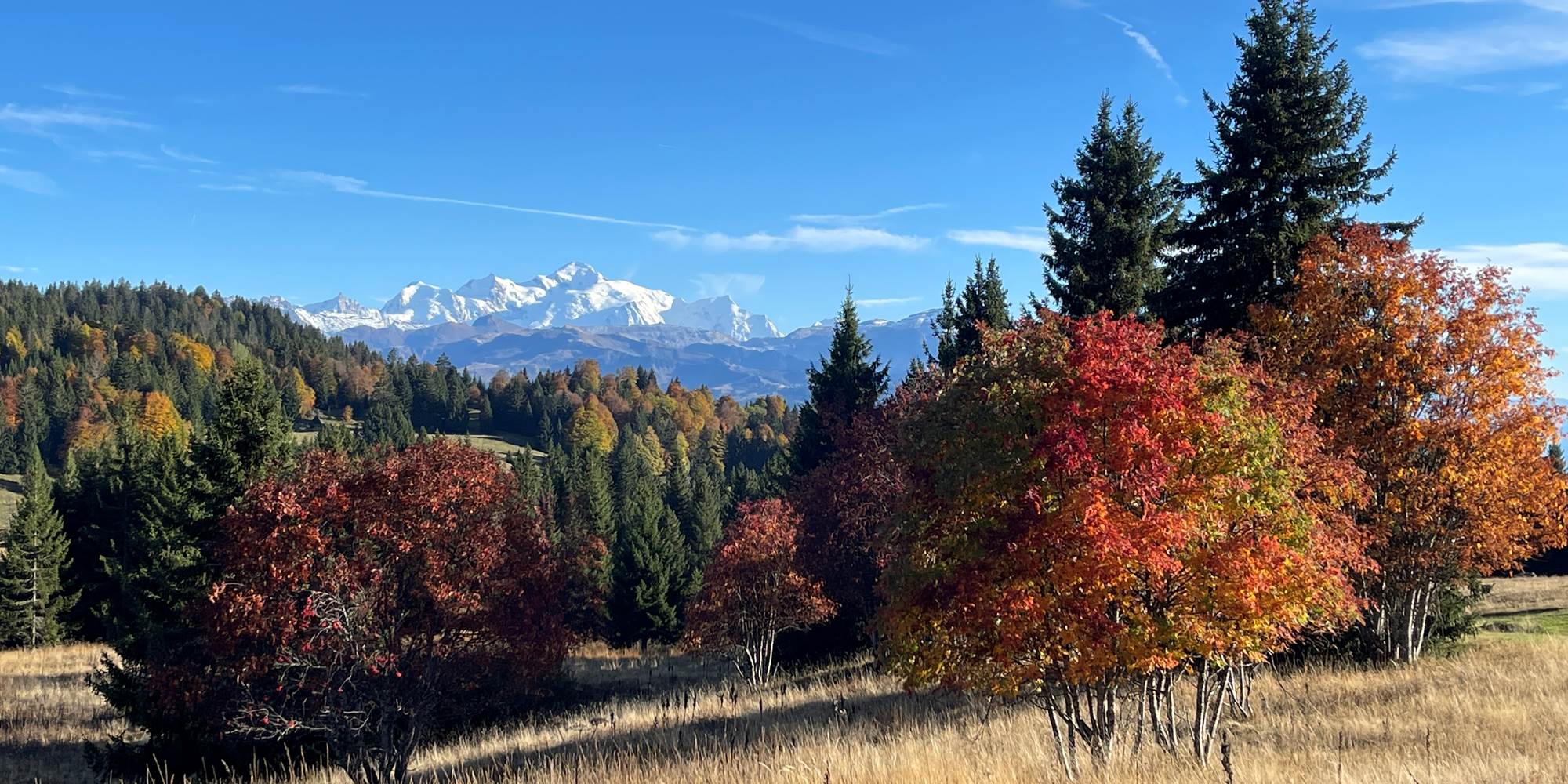 Vue sur le Mont Blanc depuis le Praz de Lys en autome.