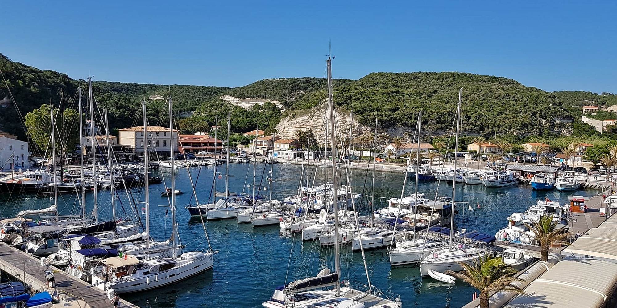 received_2048782308783860-01