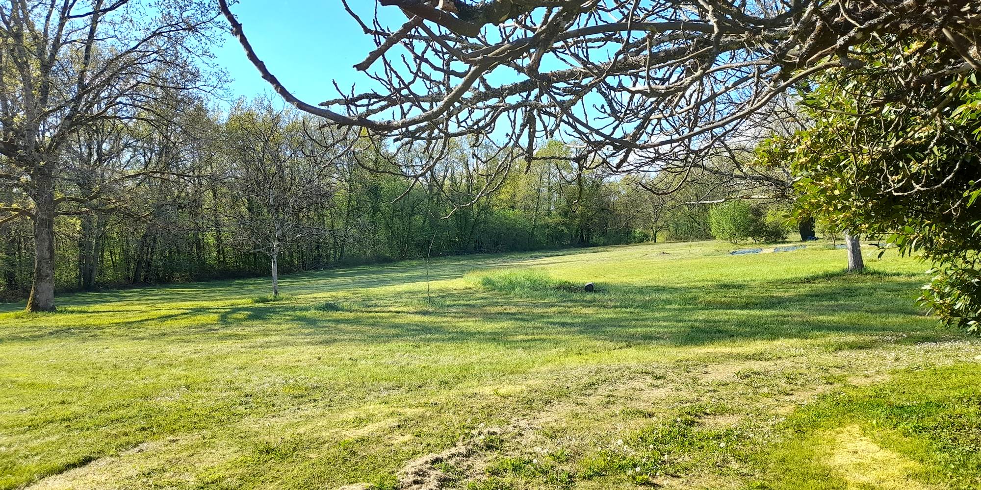 Prairie / Meadow