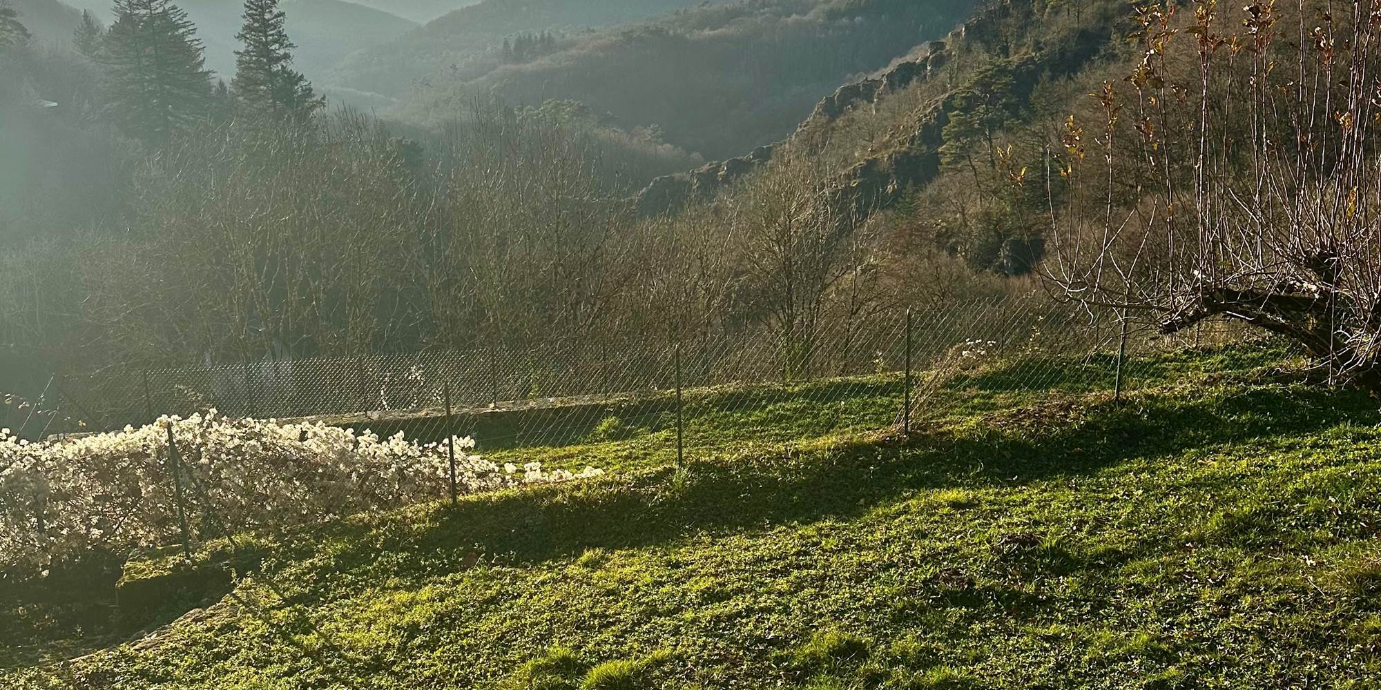 le-chant-des-sources-gite-1-paysage-jardin-cure-vt