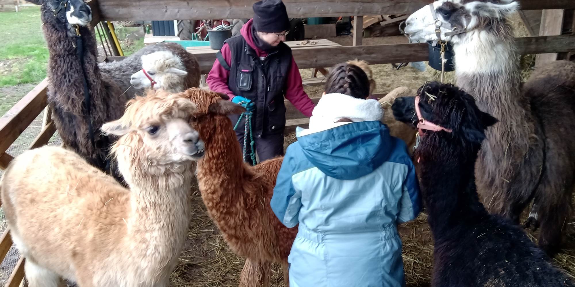 Apprendre au contact des animaux