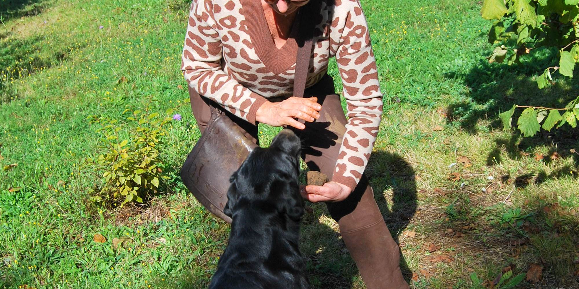 Isabelle et Orka