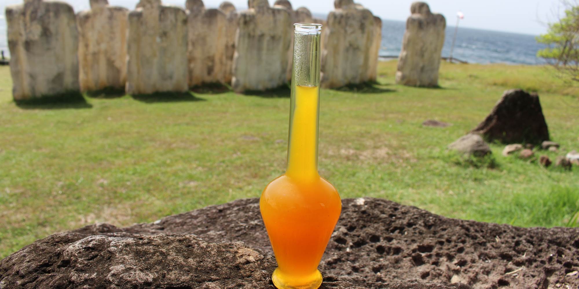 Cap 110 Anse Caffard - visite excursion gourmande Glouglou Fresh