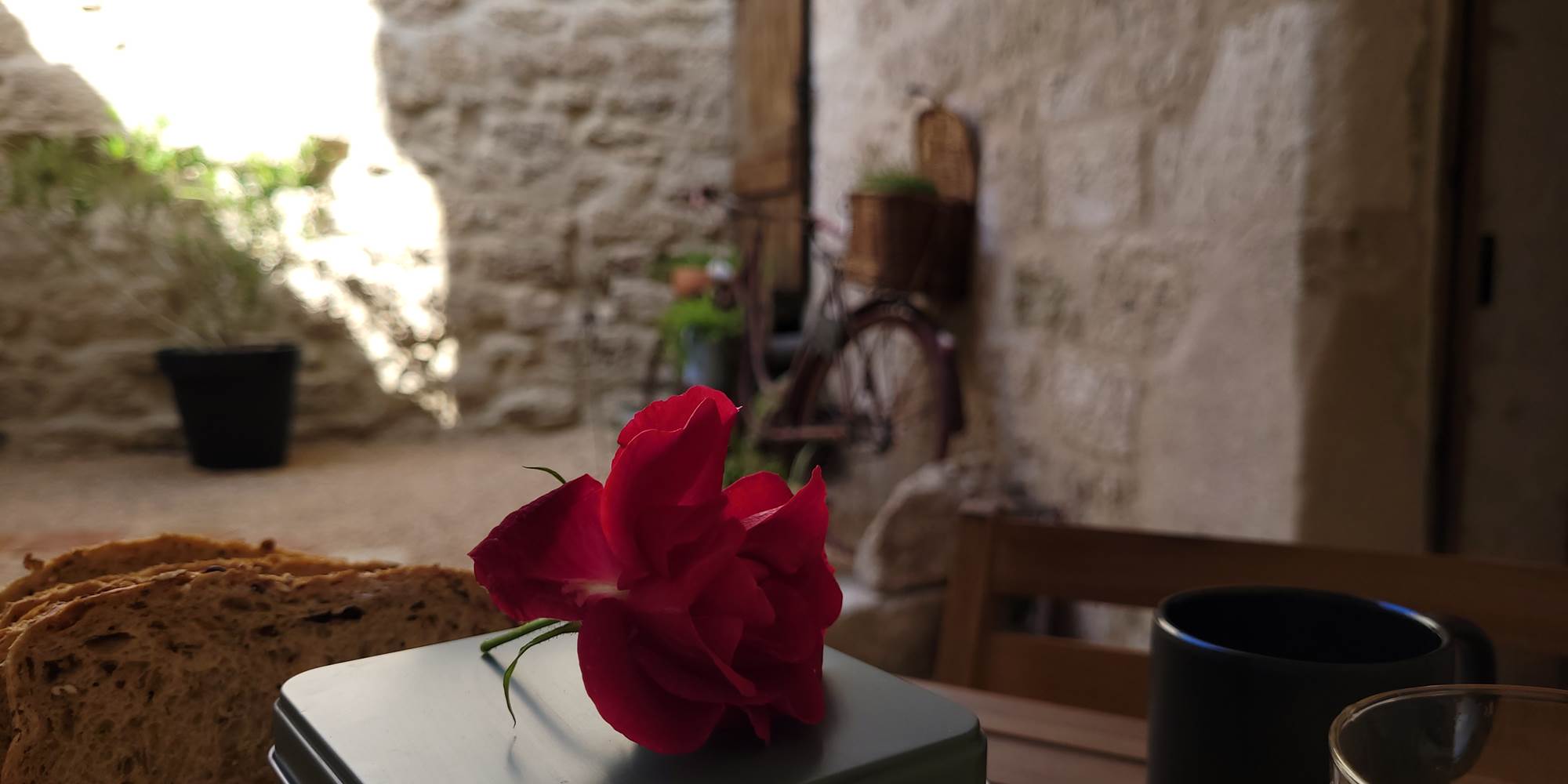 Logement privatif avec SPA