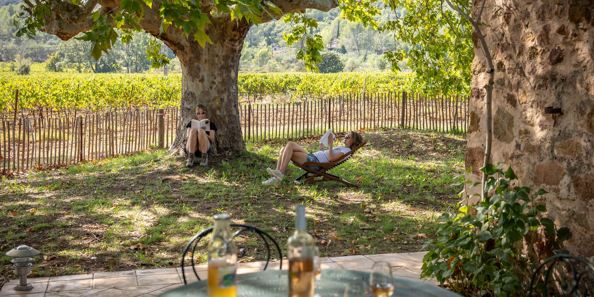 Domaine des Peirecedes-0258