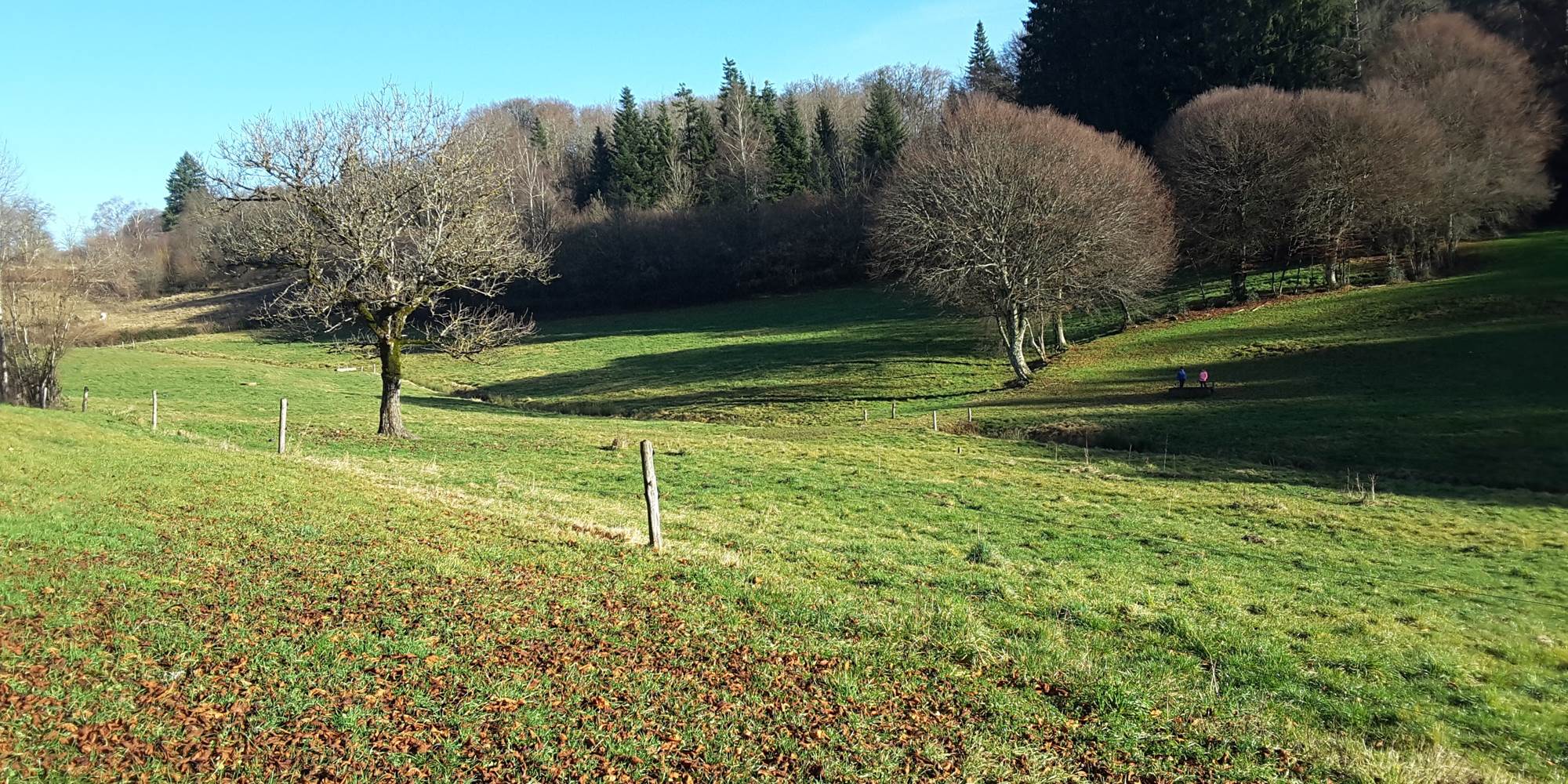 Les prés de Brameix