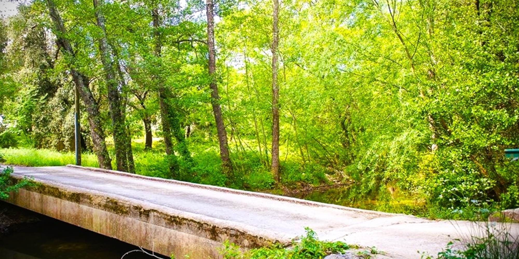 Pont de Cocody