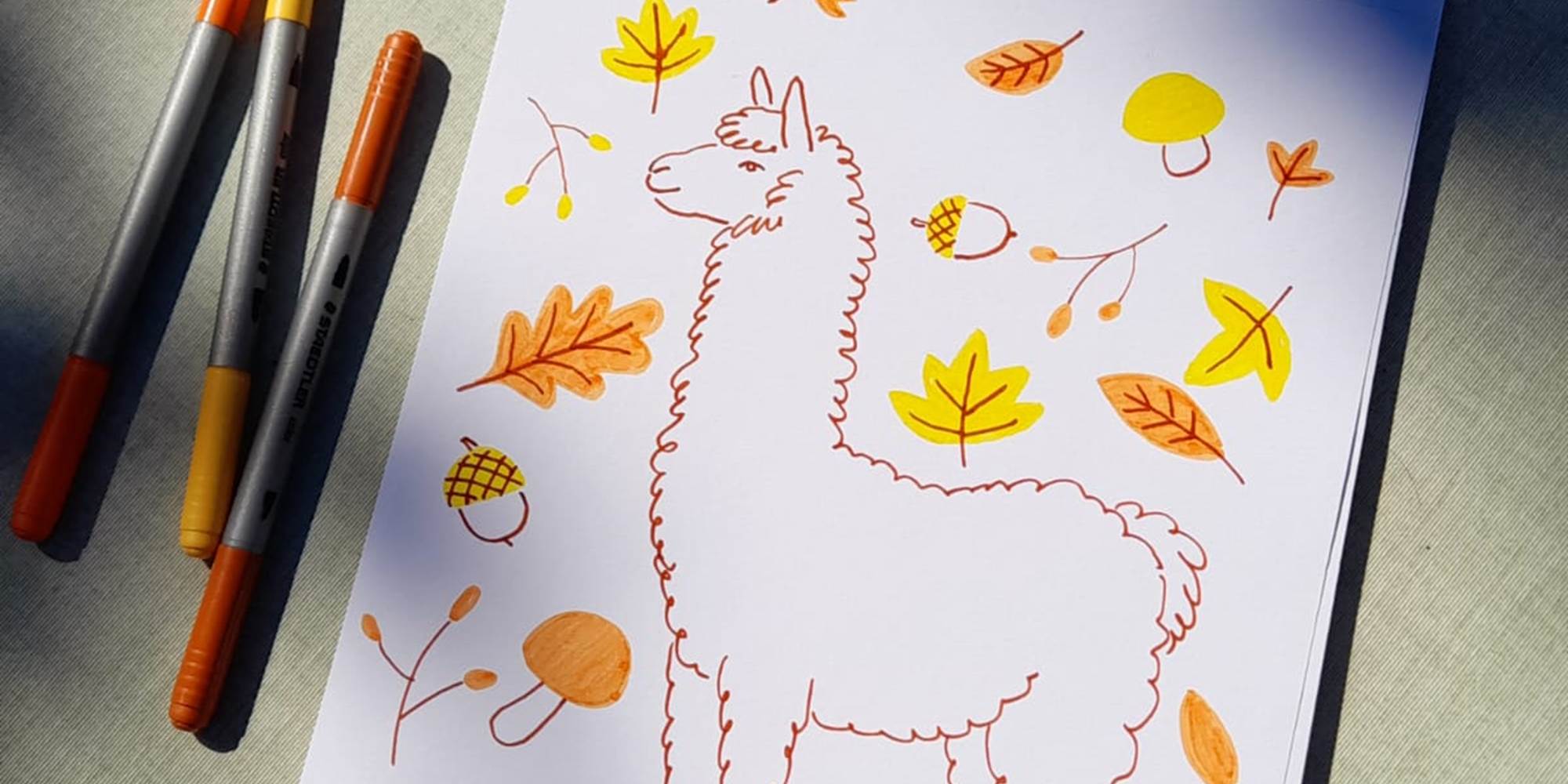 Mon alpaga d'automne