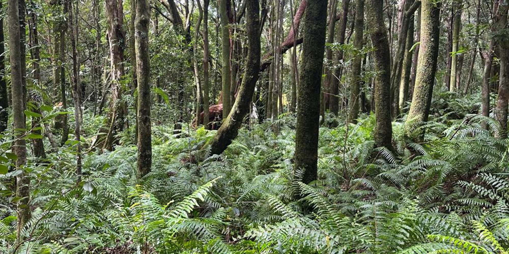 WhatsApp Image 2025-03-24 at 13.08.18(3)