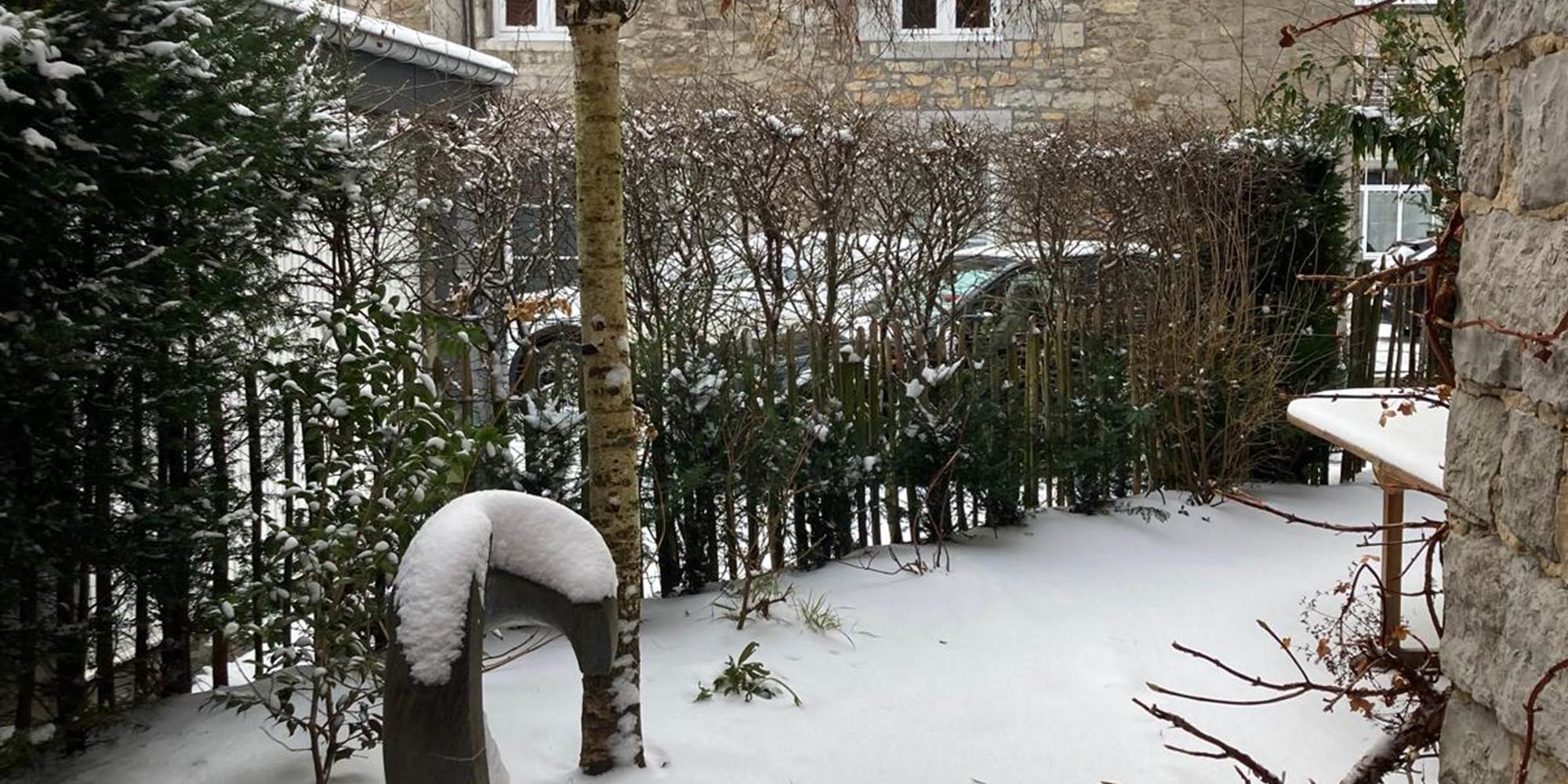 PHOTO-2026-03-27-17-35-45 10