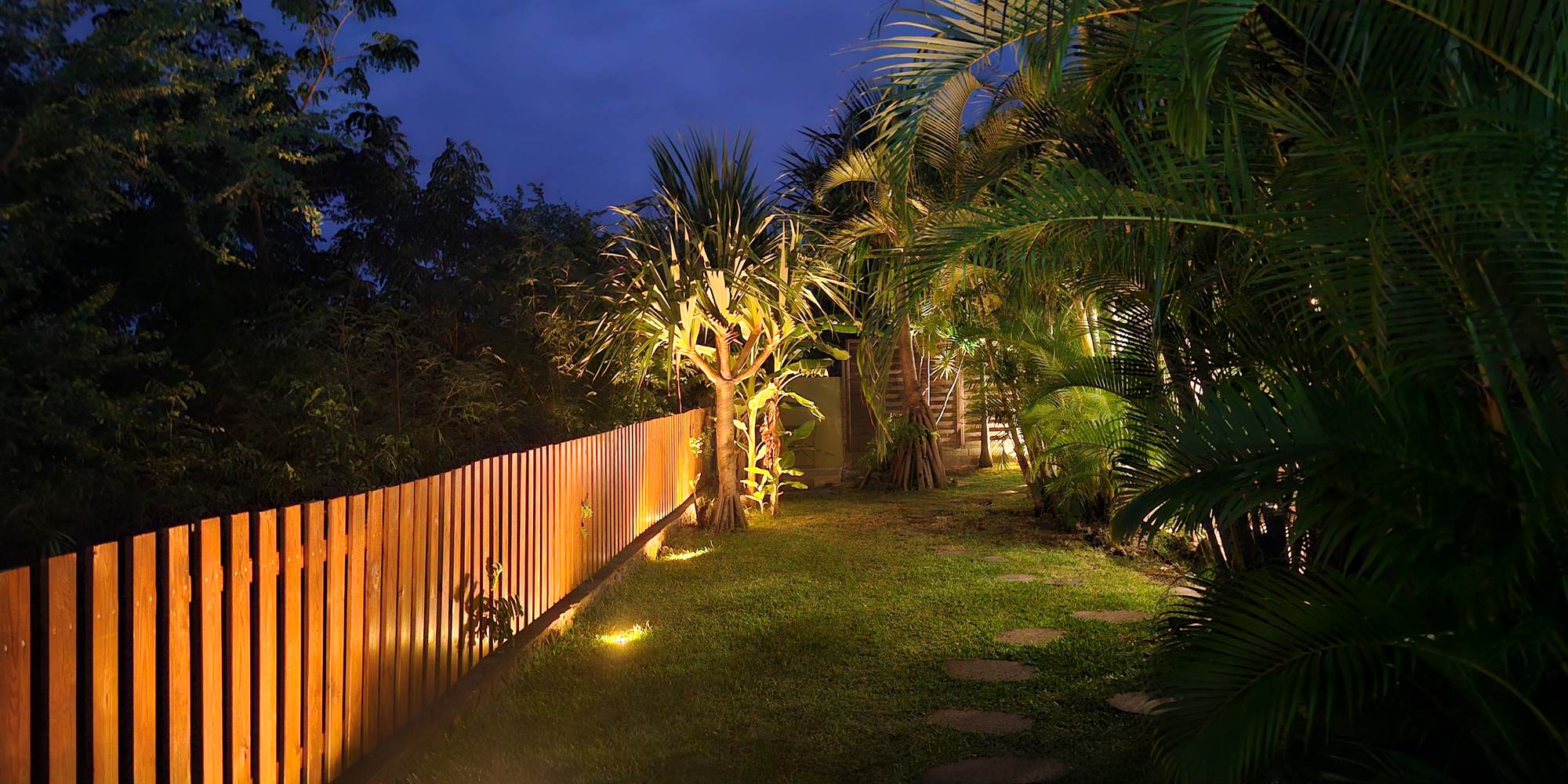 jardin nuit