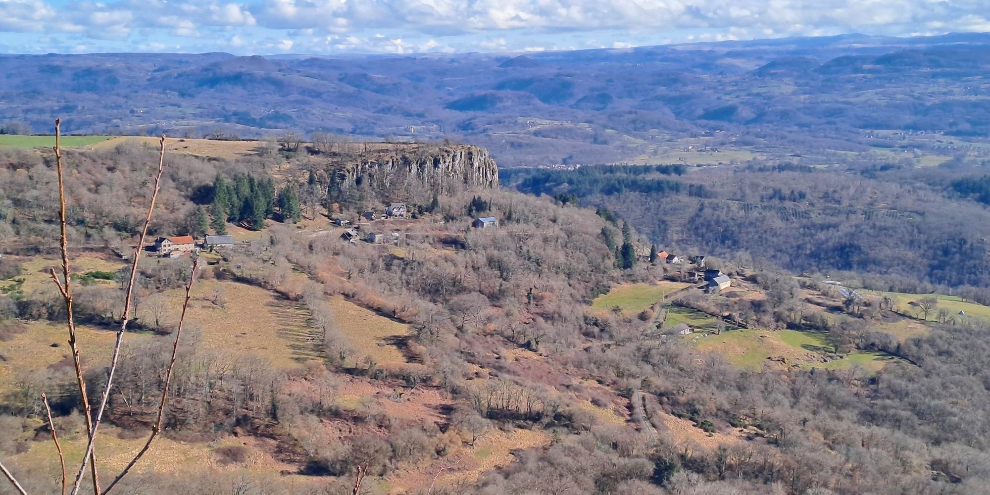 Les orgues