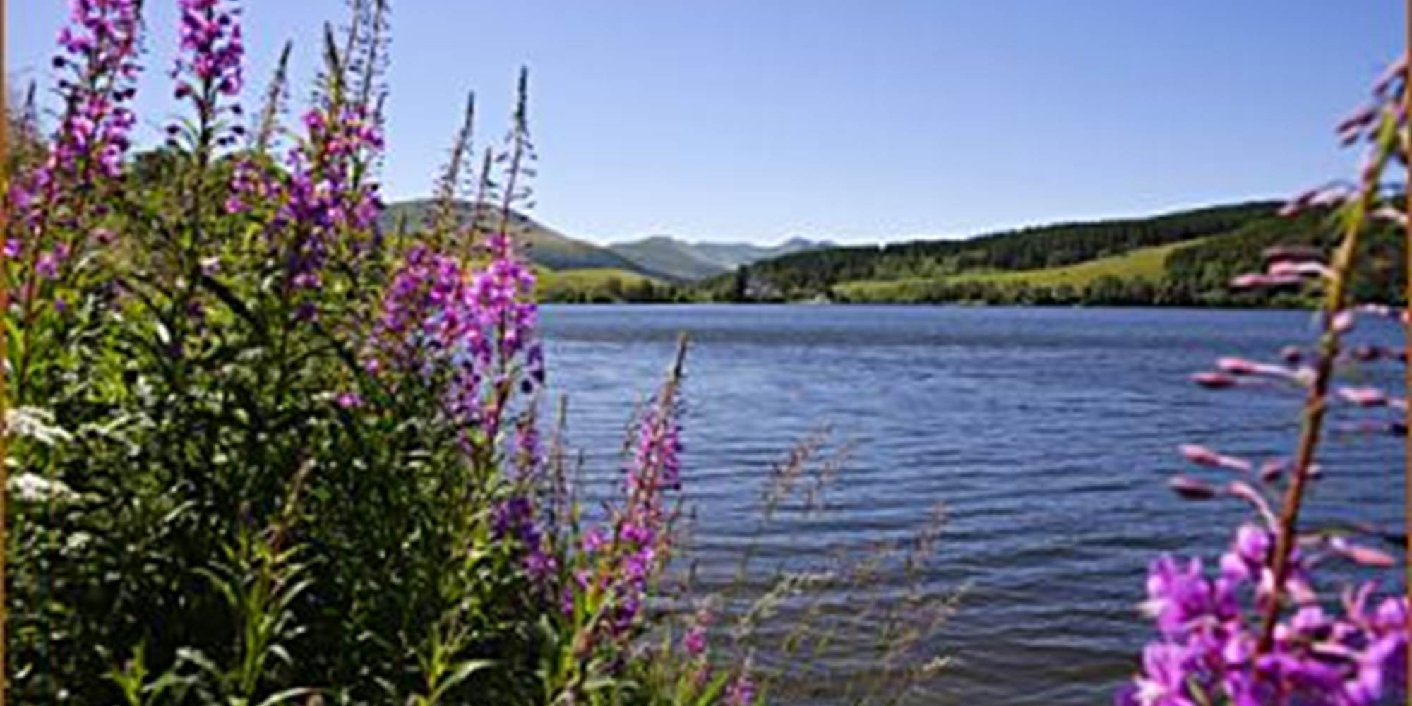 lac guery