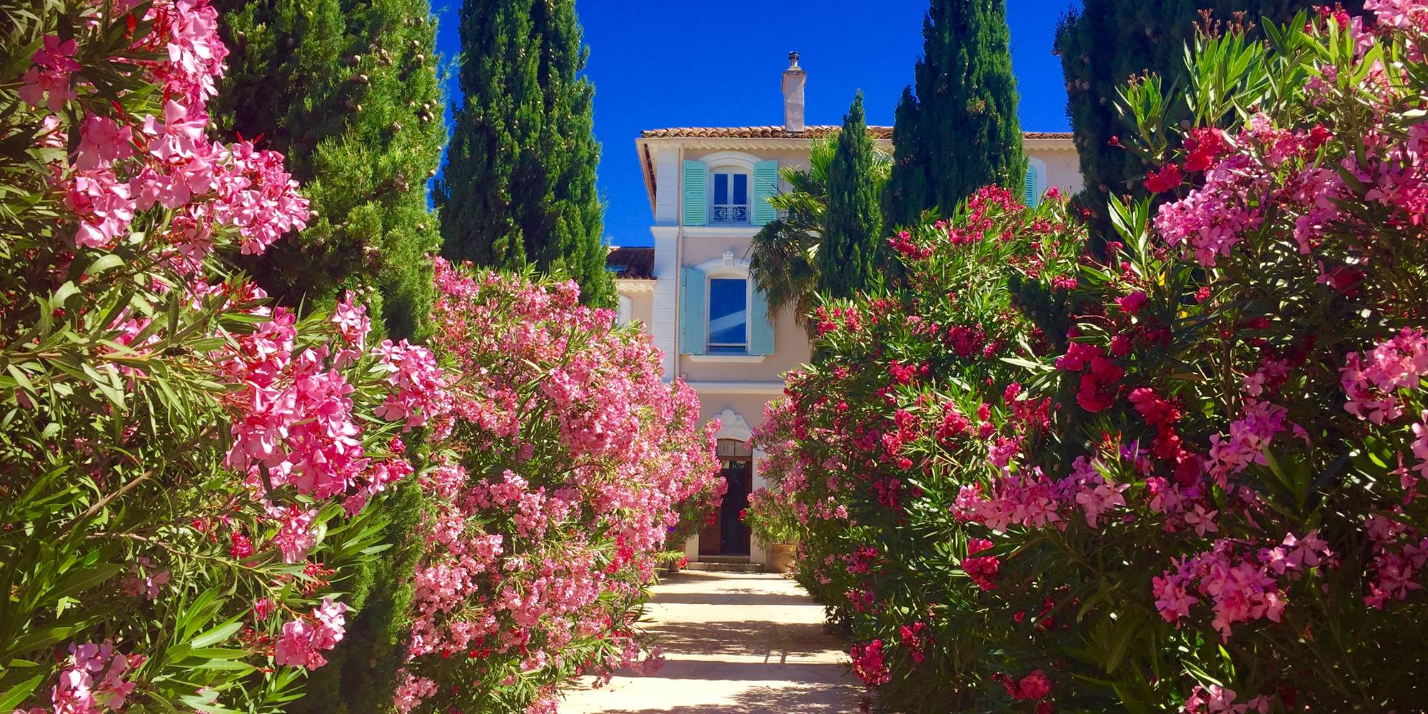 Allée de l'entrée