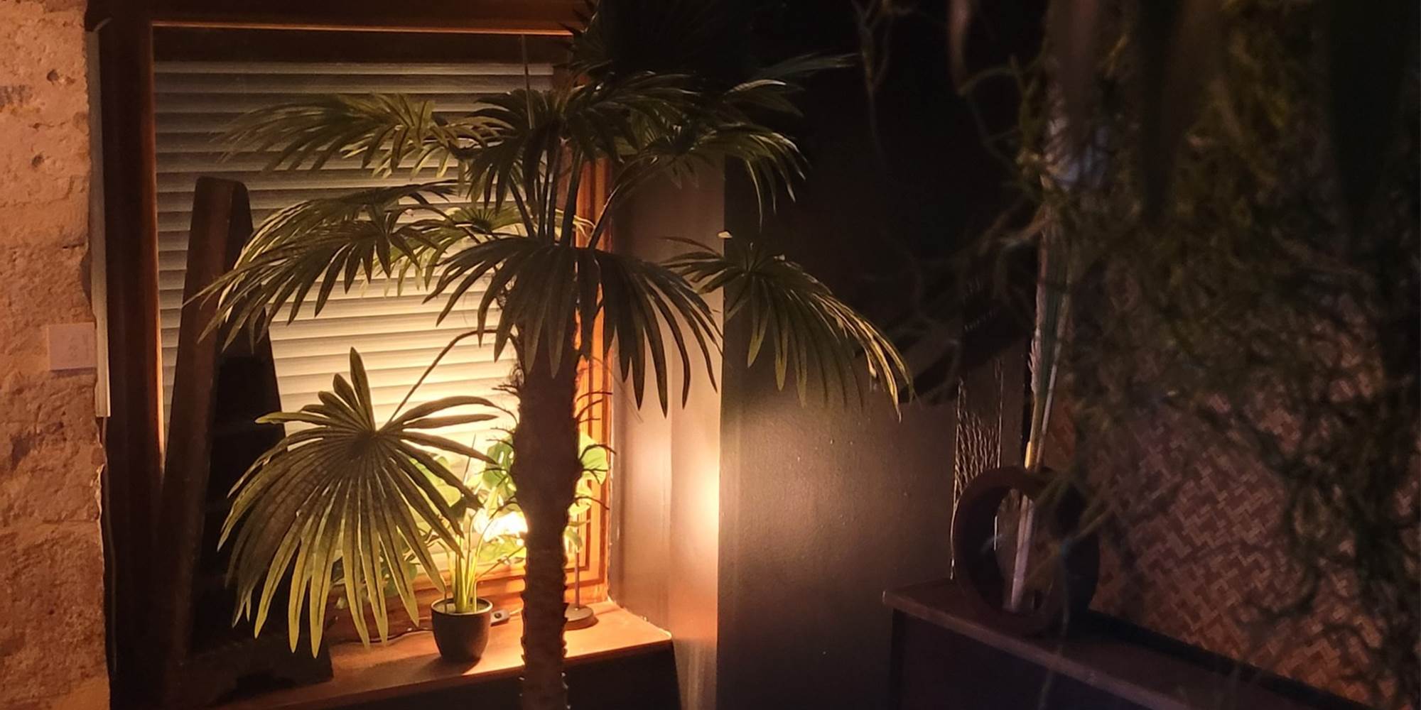 gite décoration jungle