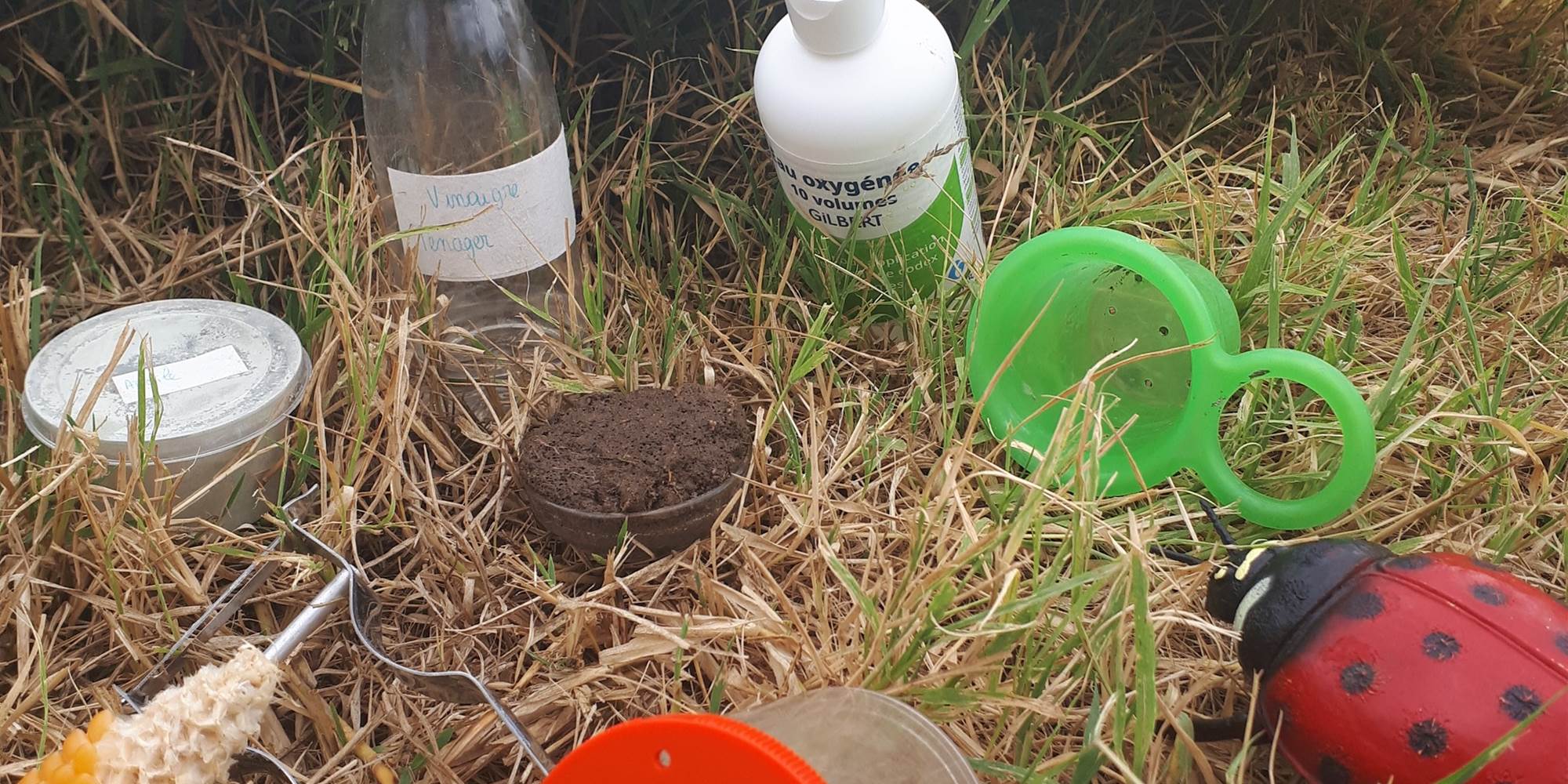 lps decouverte metiers agriculture