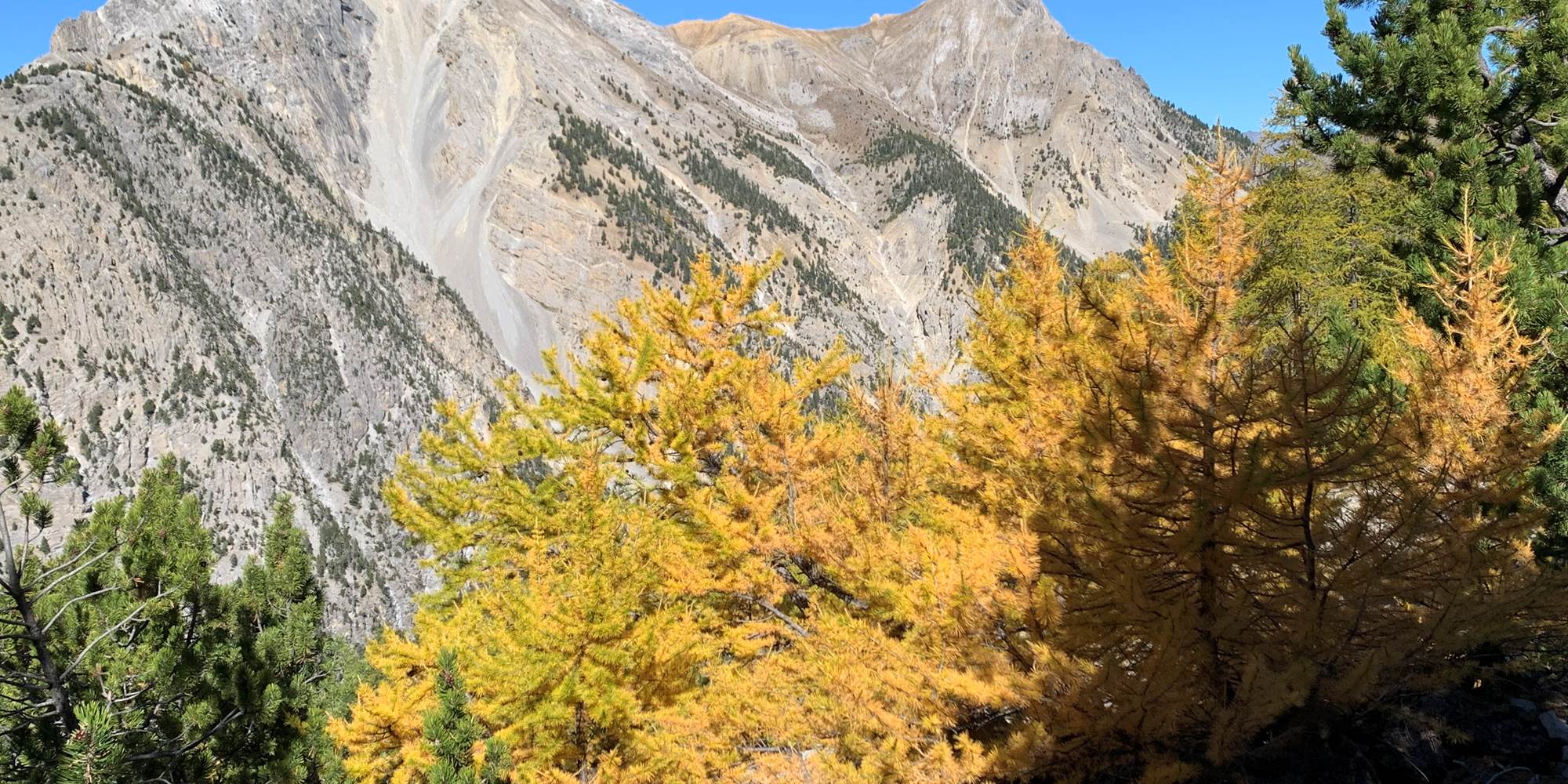 automne