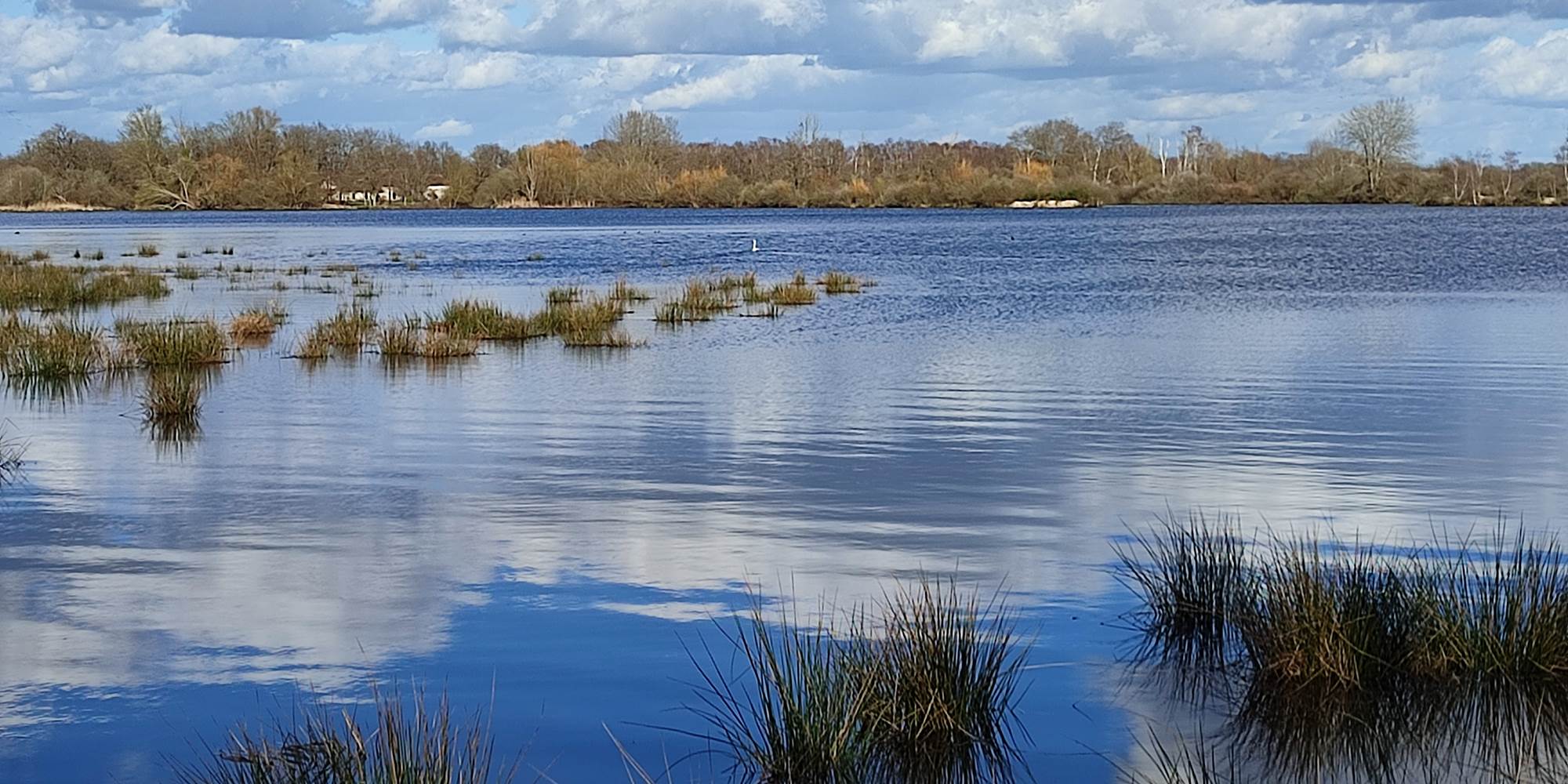 Etang de Brenne
