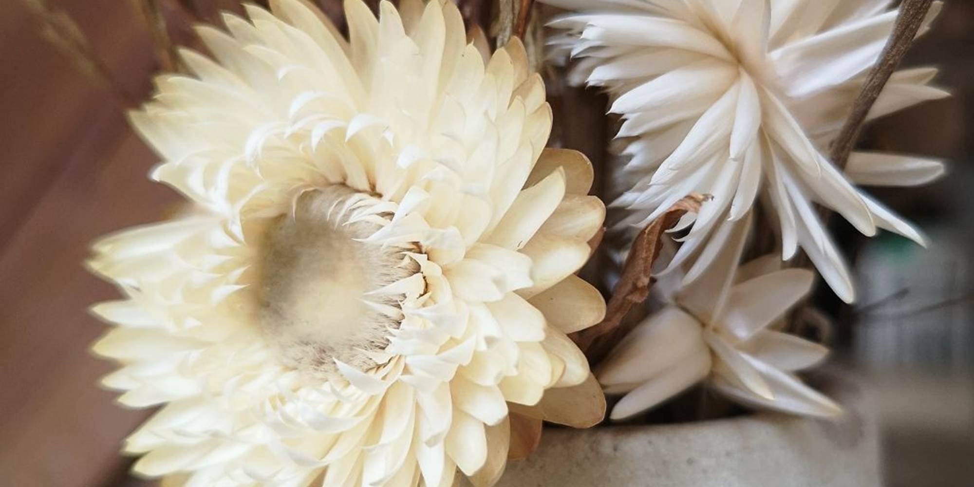 fleurs