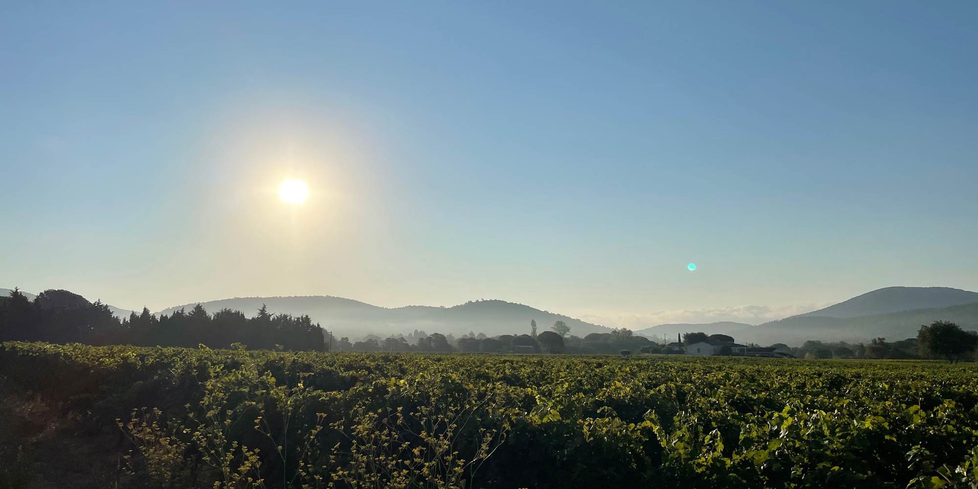 Au dessus des vignes
