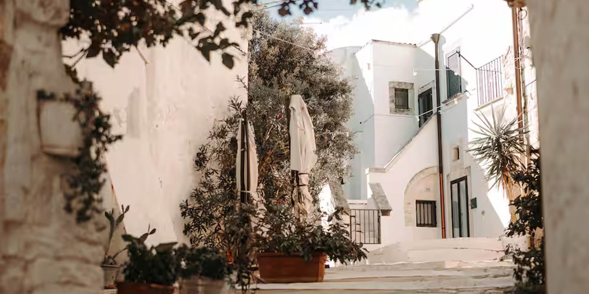 cc47b9f1-0633-429f-8fd7-05bc69b0a70a