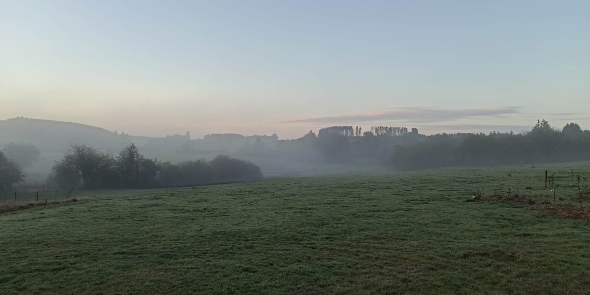 Brume matinale