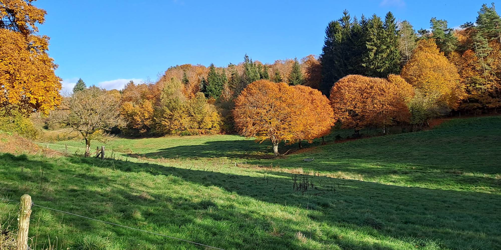 leschaumieresdebrameix automne
