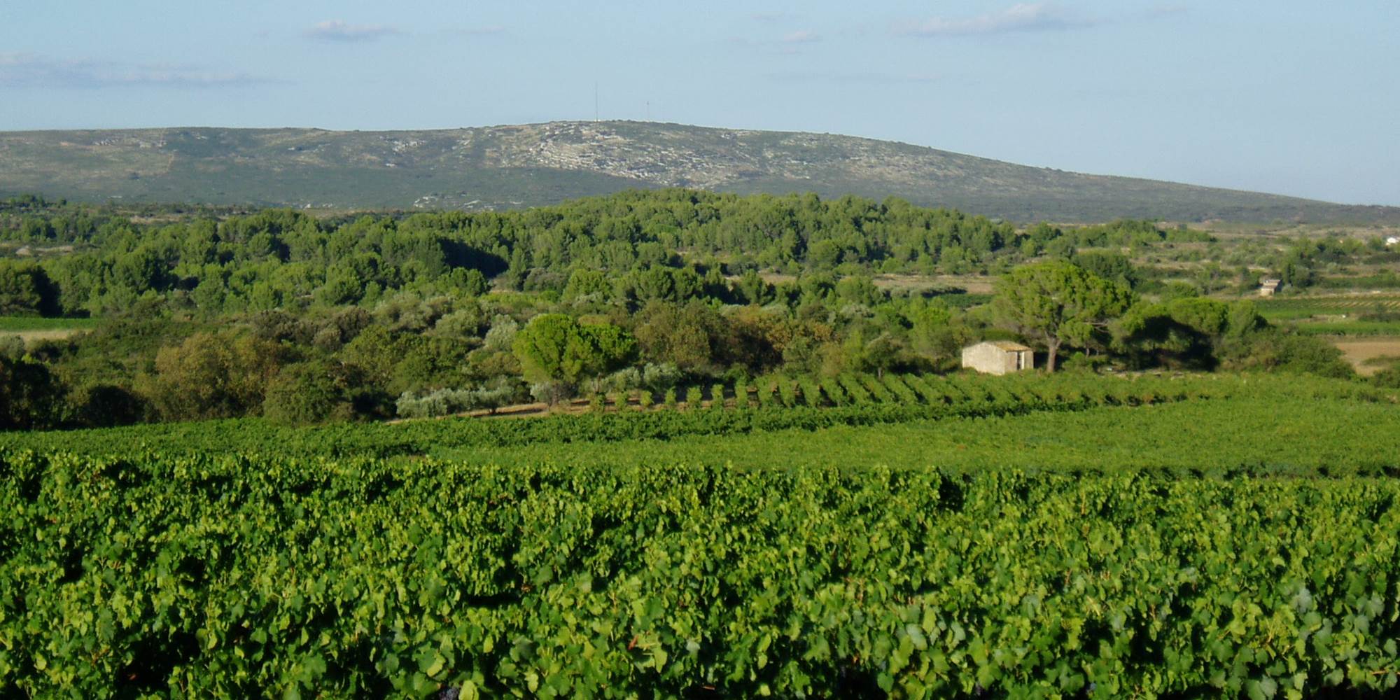 Collines de la Moure et Eoliennes