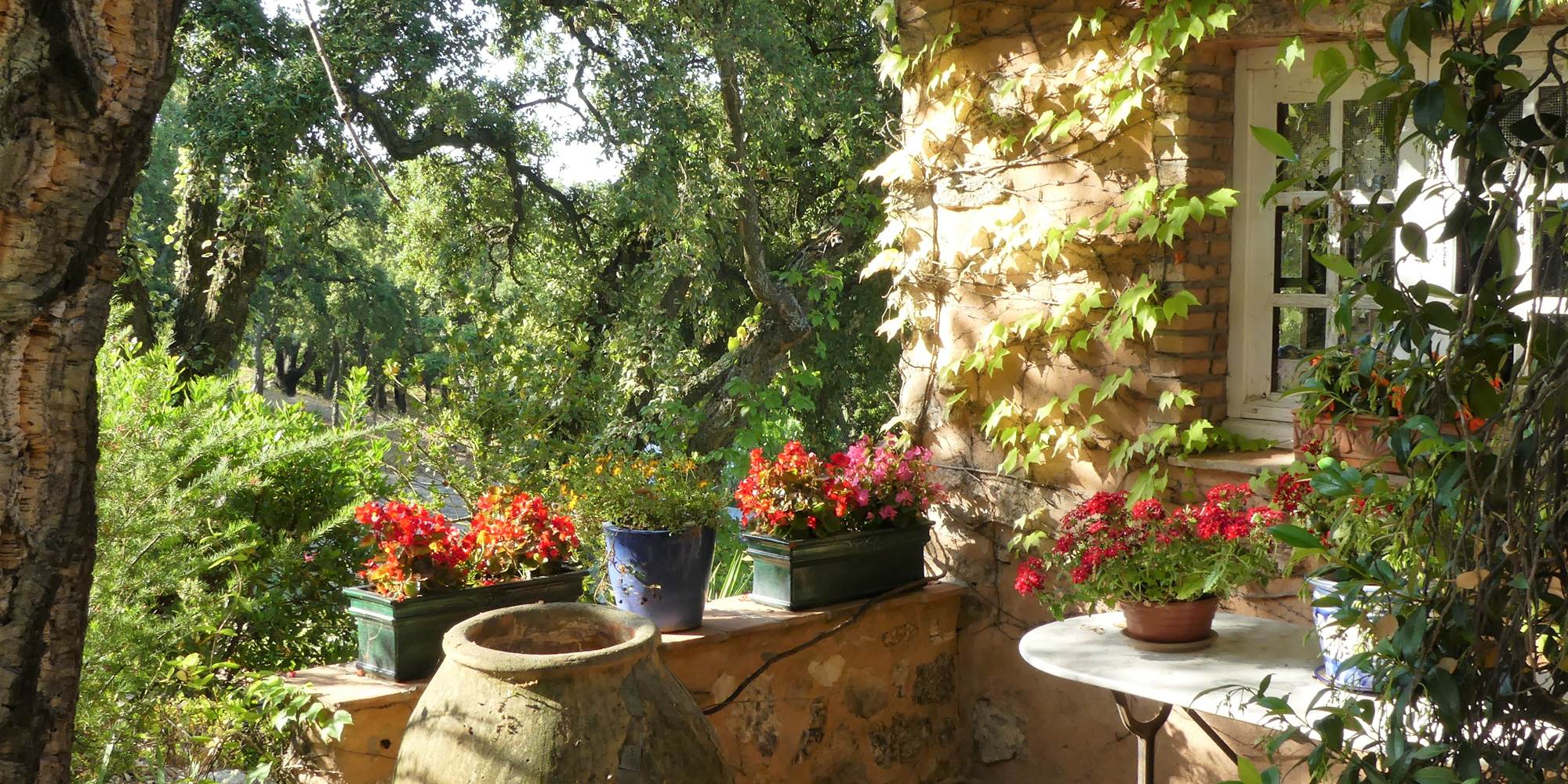 Côté terrasse