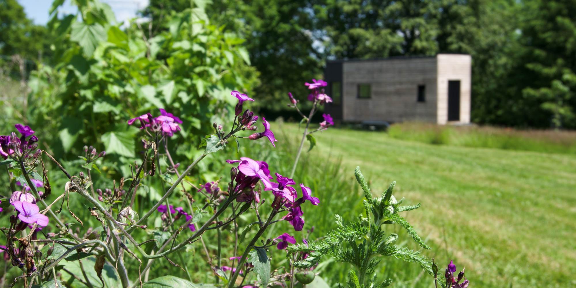 TINY HOUSE JARDIN