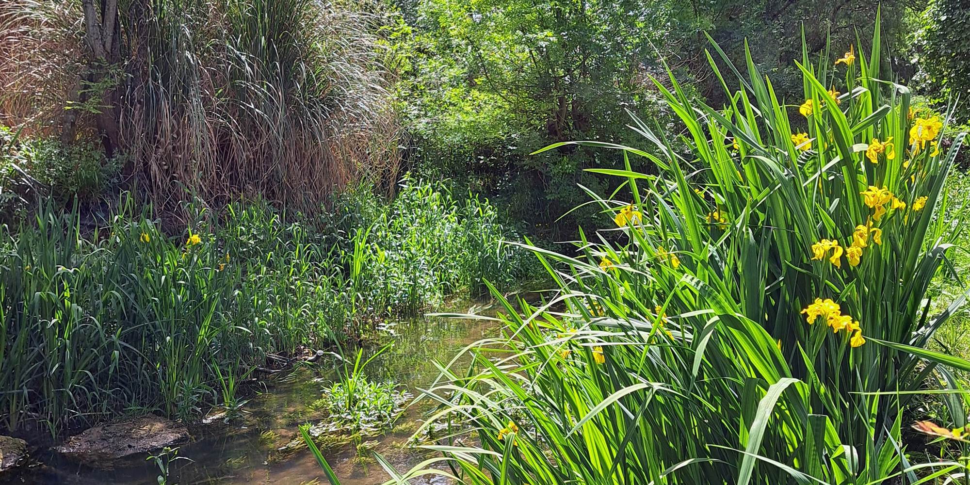 Le Moulin Etourneau - La Villa des Lettres, gîte de caractère et spacieux pour 14 personnes