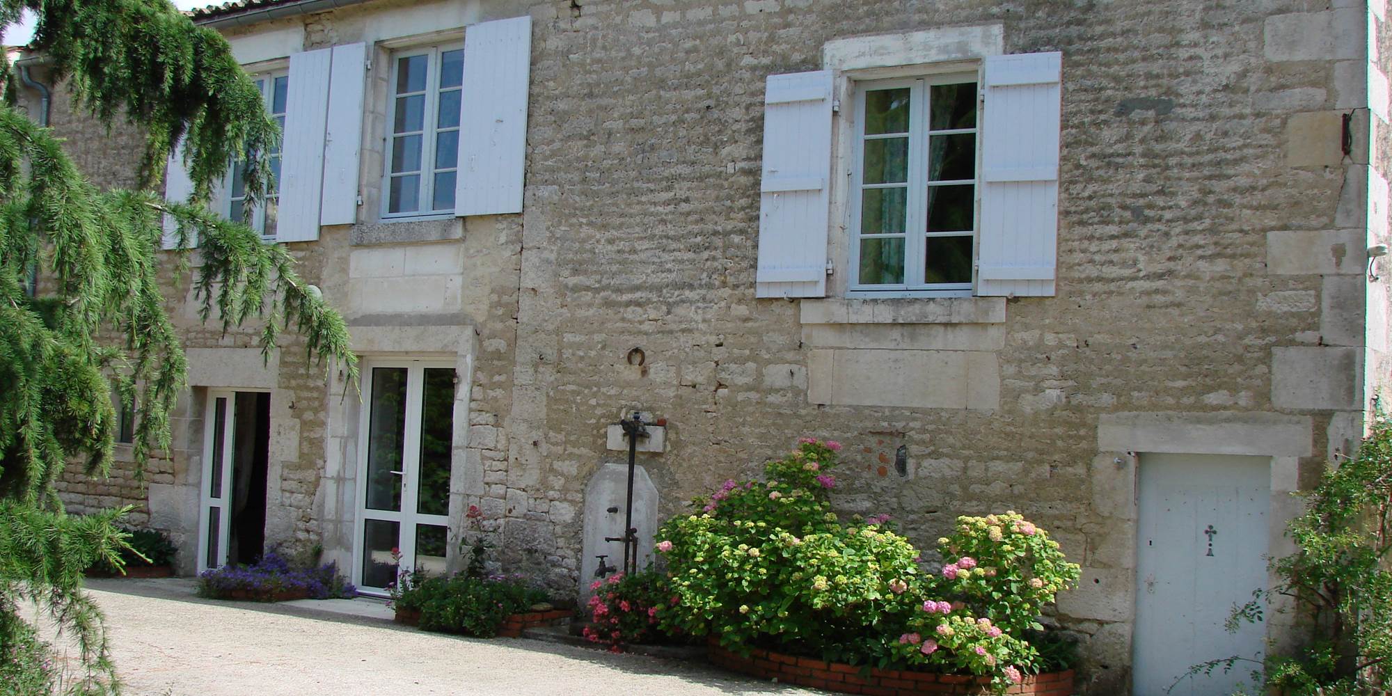 Le Rosier sauvage