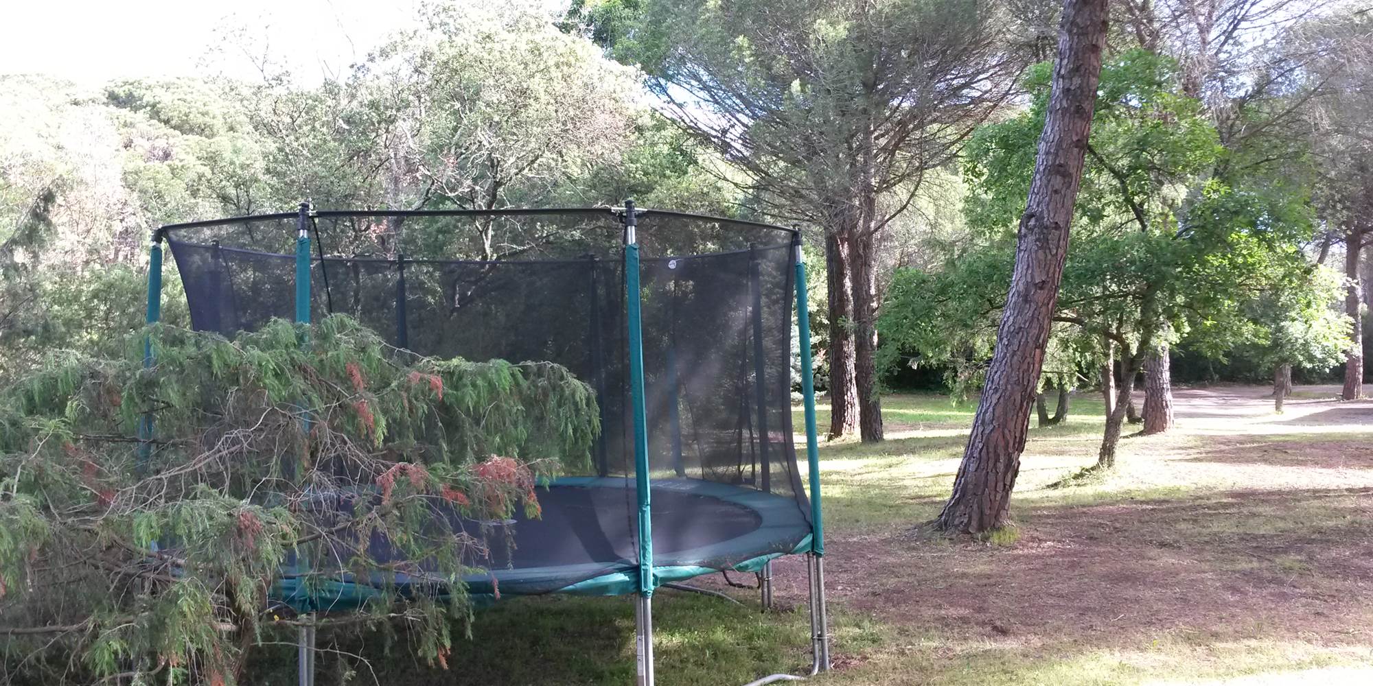 Trampoline