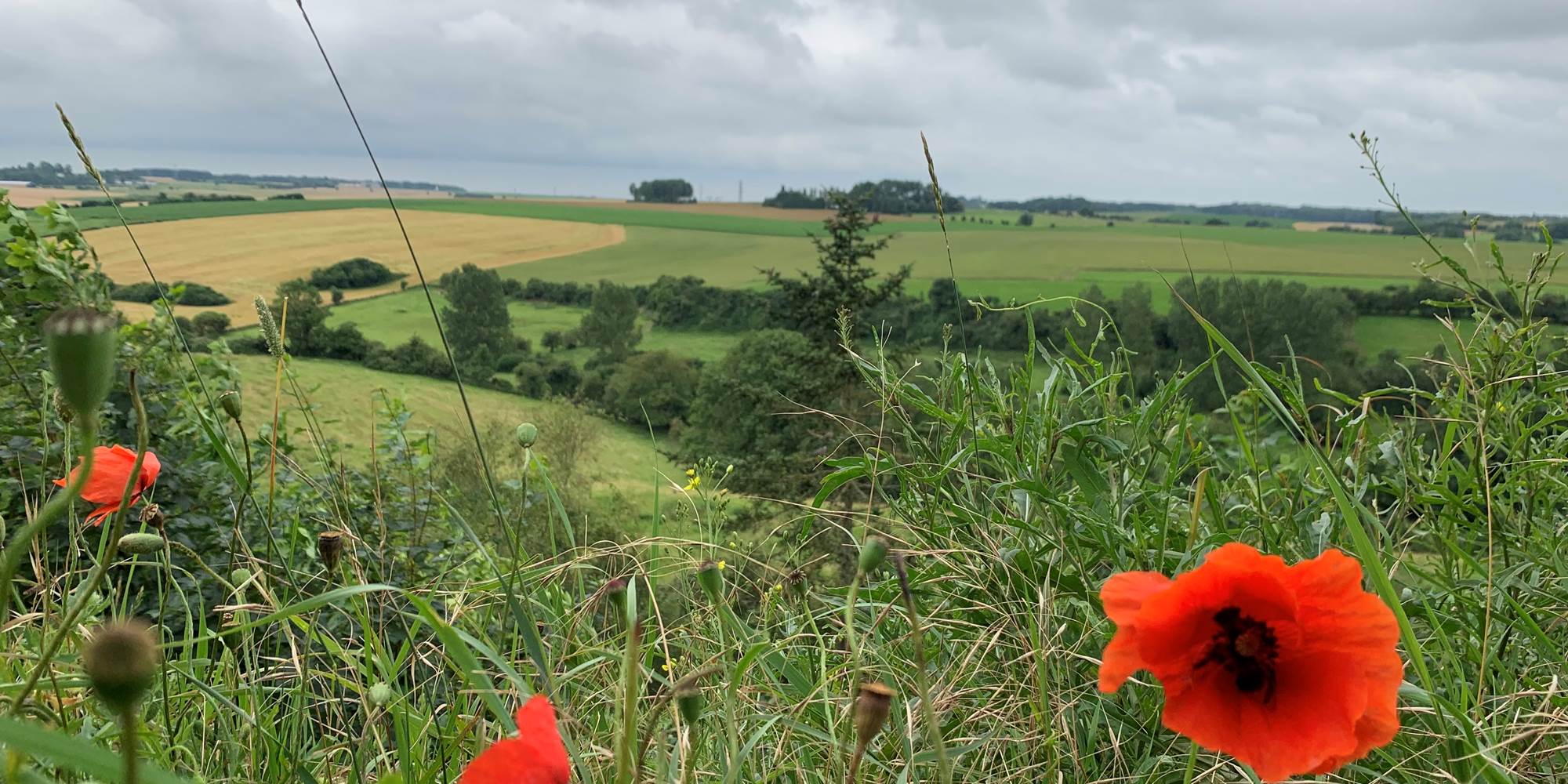 Paysages vallonnés et nature préservée du Pays des 7 Vallées, cadre idéal pour un séjour au vert dans notre gîte du Pas-de-Calais.