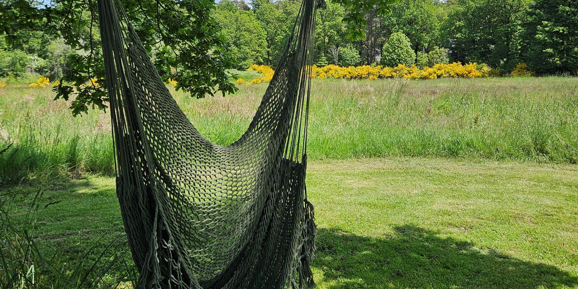 Le Ranch Camping - Hammock