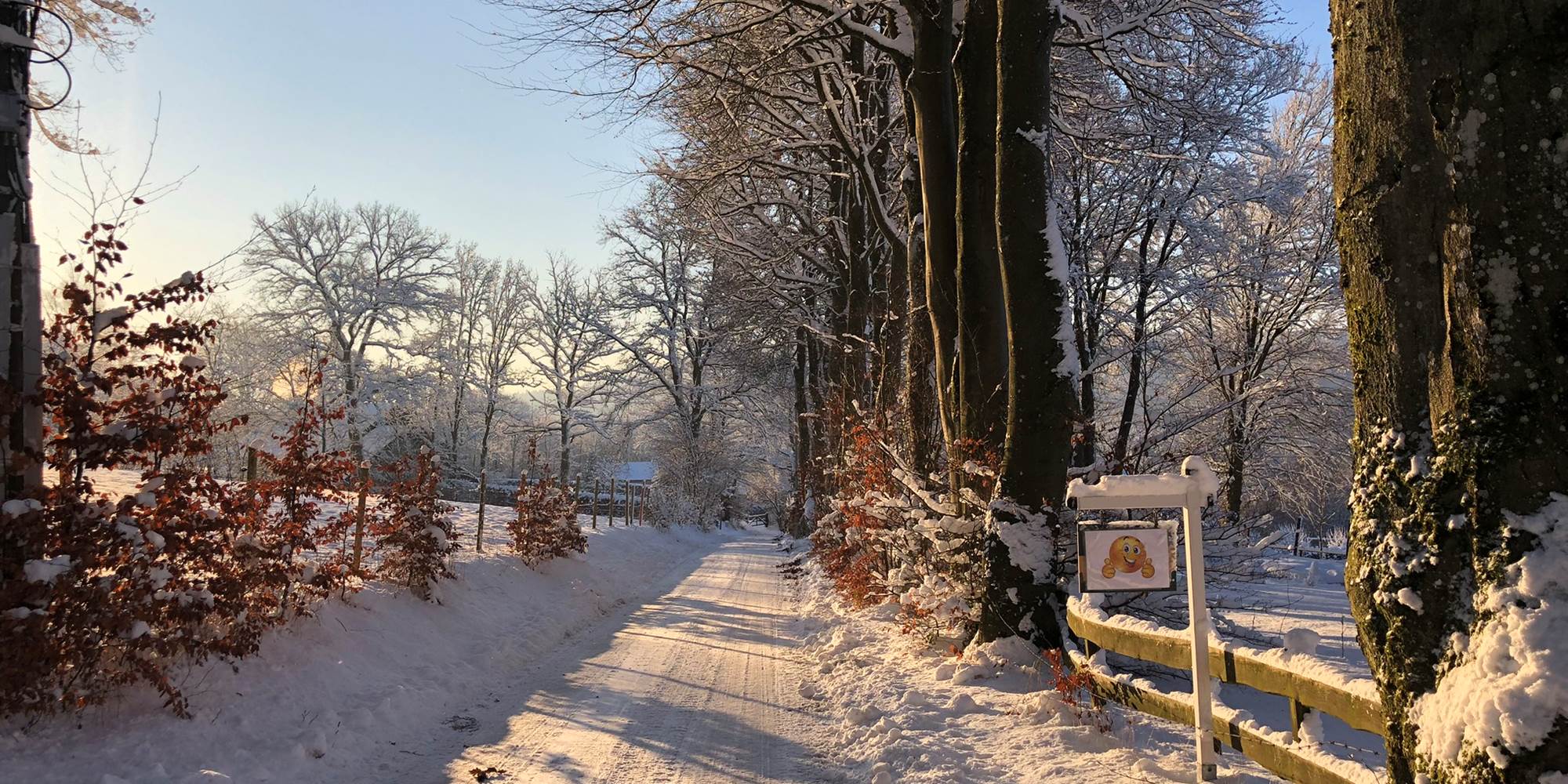 Vive la neige !