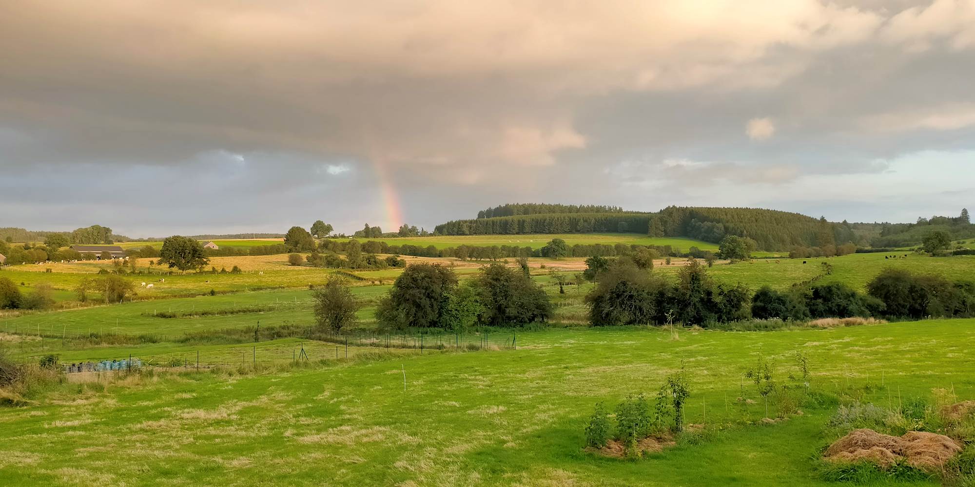 Vue sur la campagne