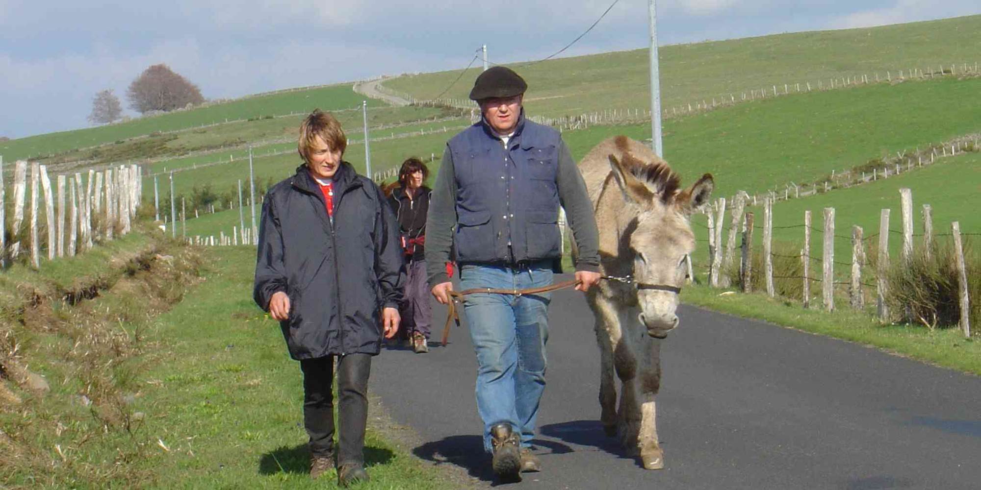 Nostalgie sur l'Aubrac avec nos ânes