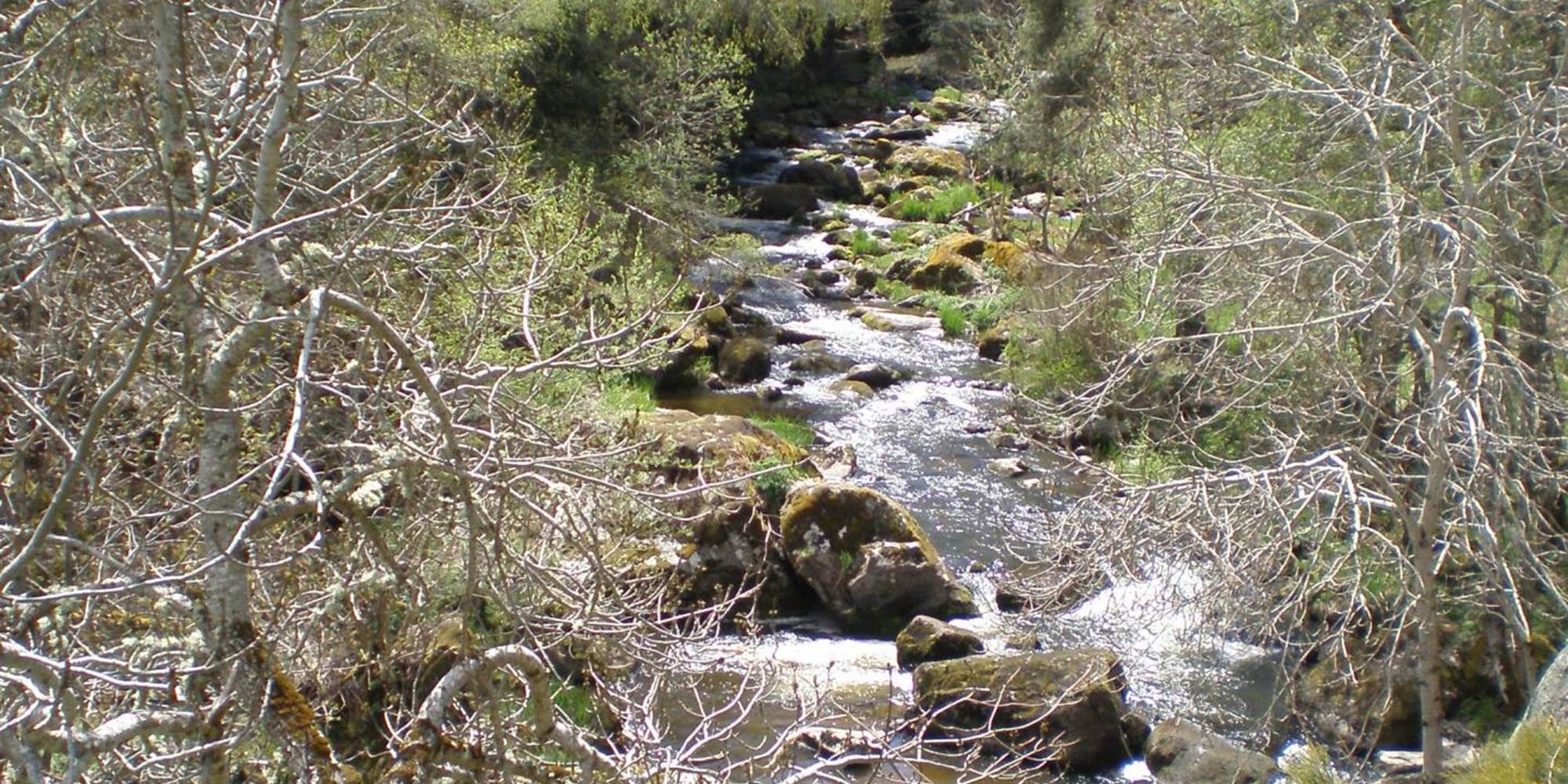 Le ruisseau le Grandrieu