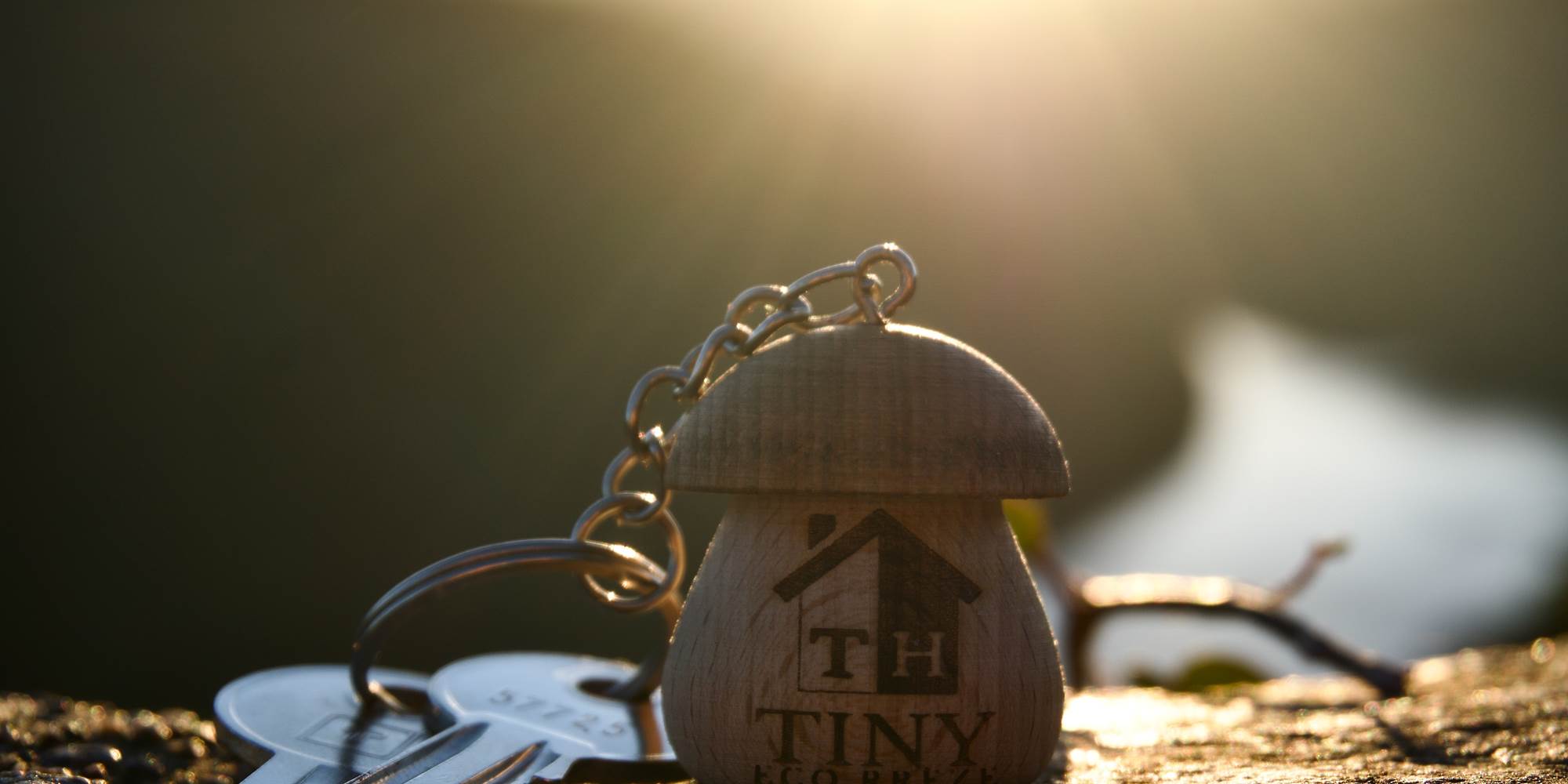 Bienvenue dans la Tiny house !