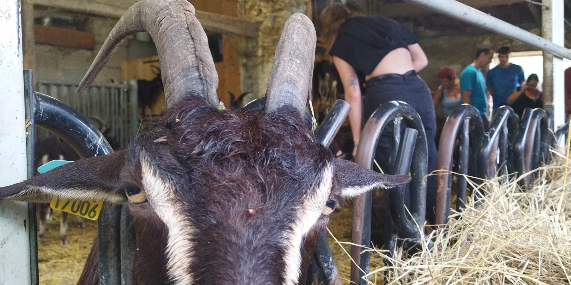 Périgord Inattendu, Accueil à la Ferme