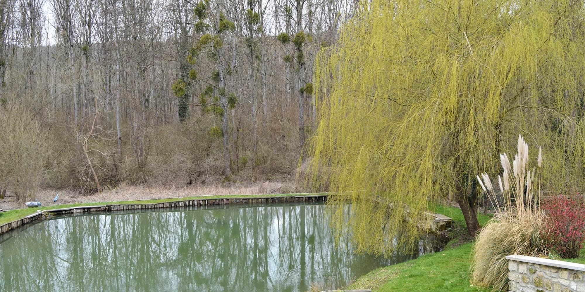 La vue sur l'étang