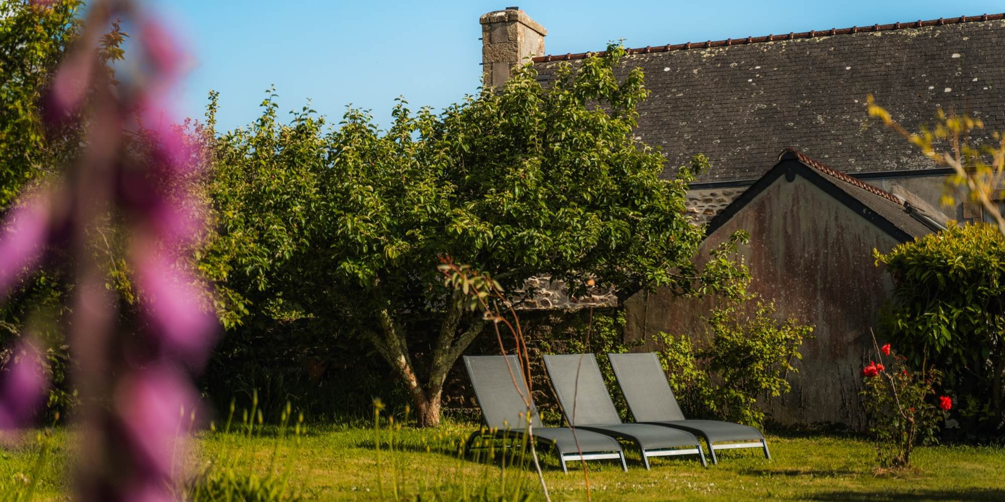 Les transats dans le jardin