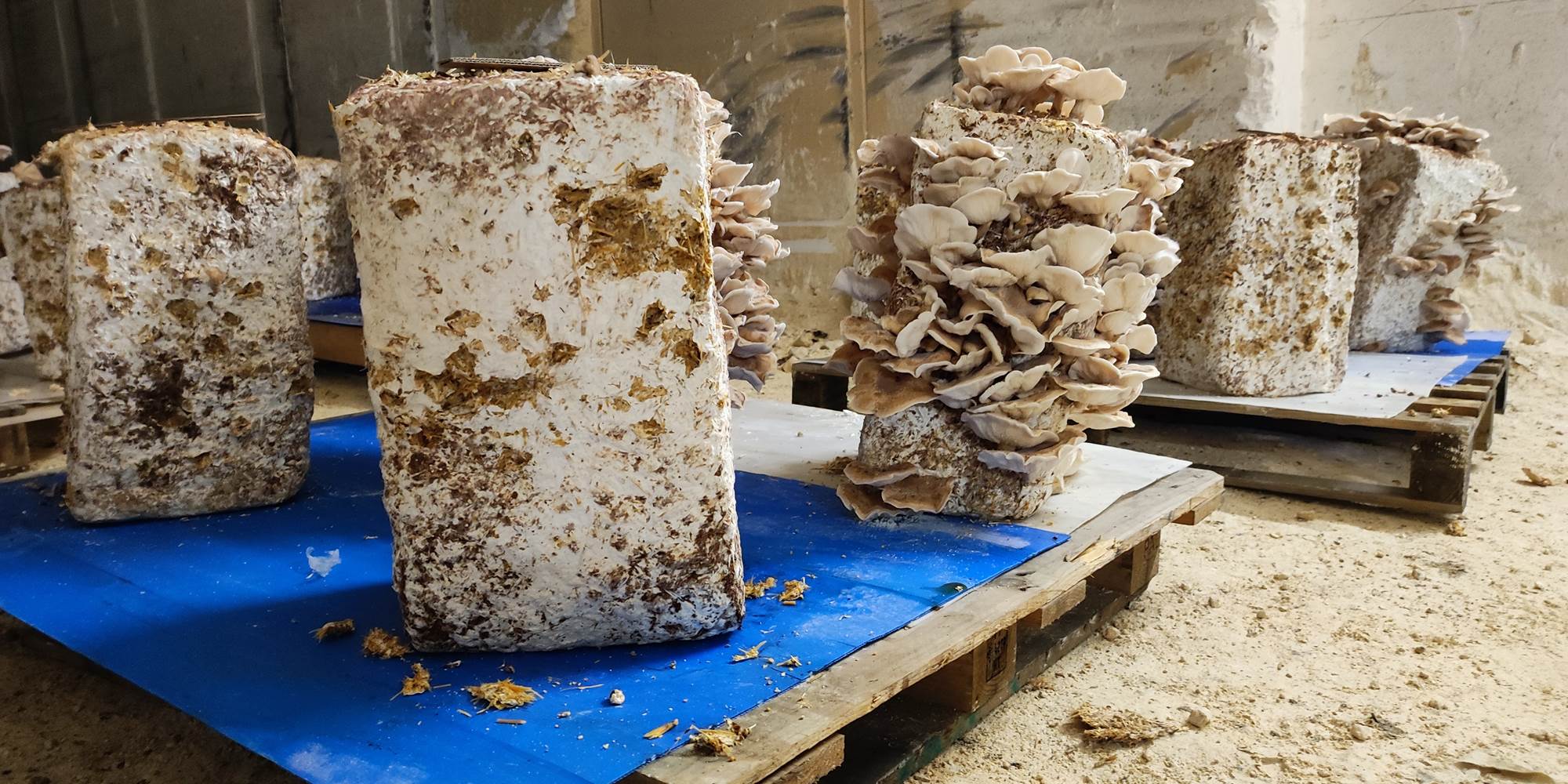Périgord Inattendu, Accueil à la Ferme
