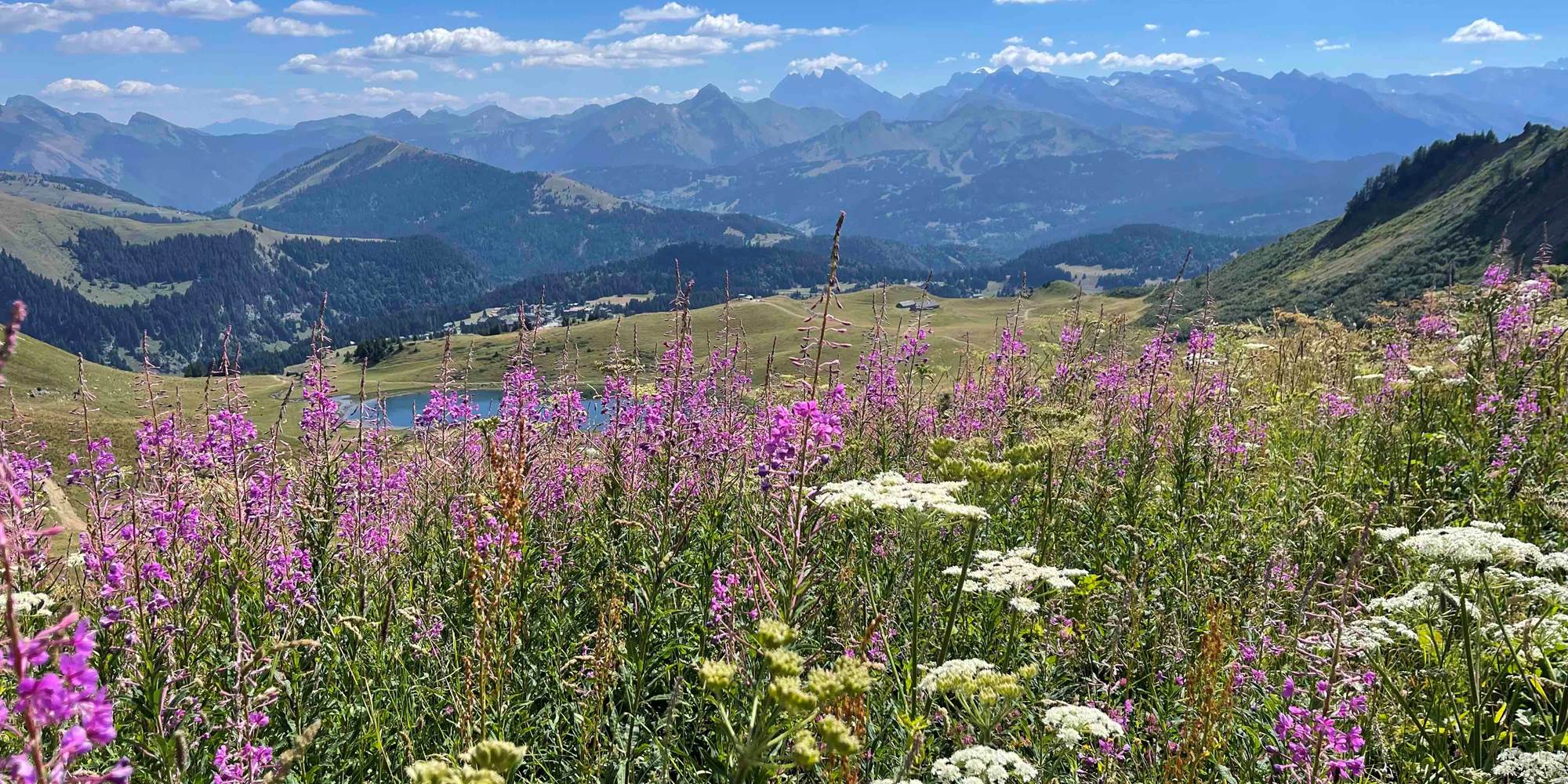 Vue sur le lac de Roy depuis le Haut Fleury le 31 juillet 2022