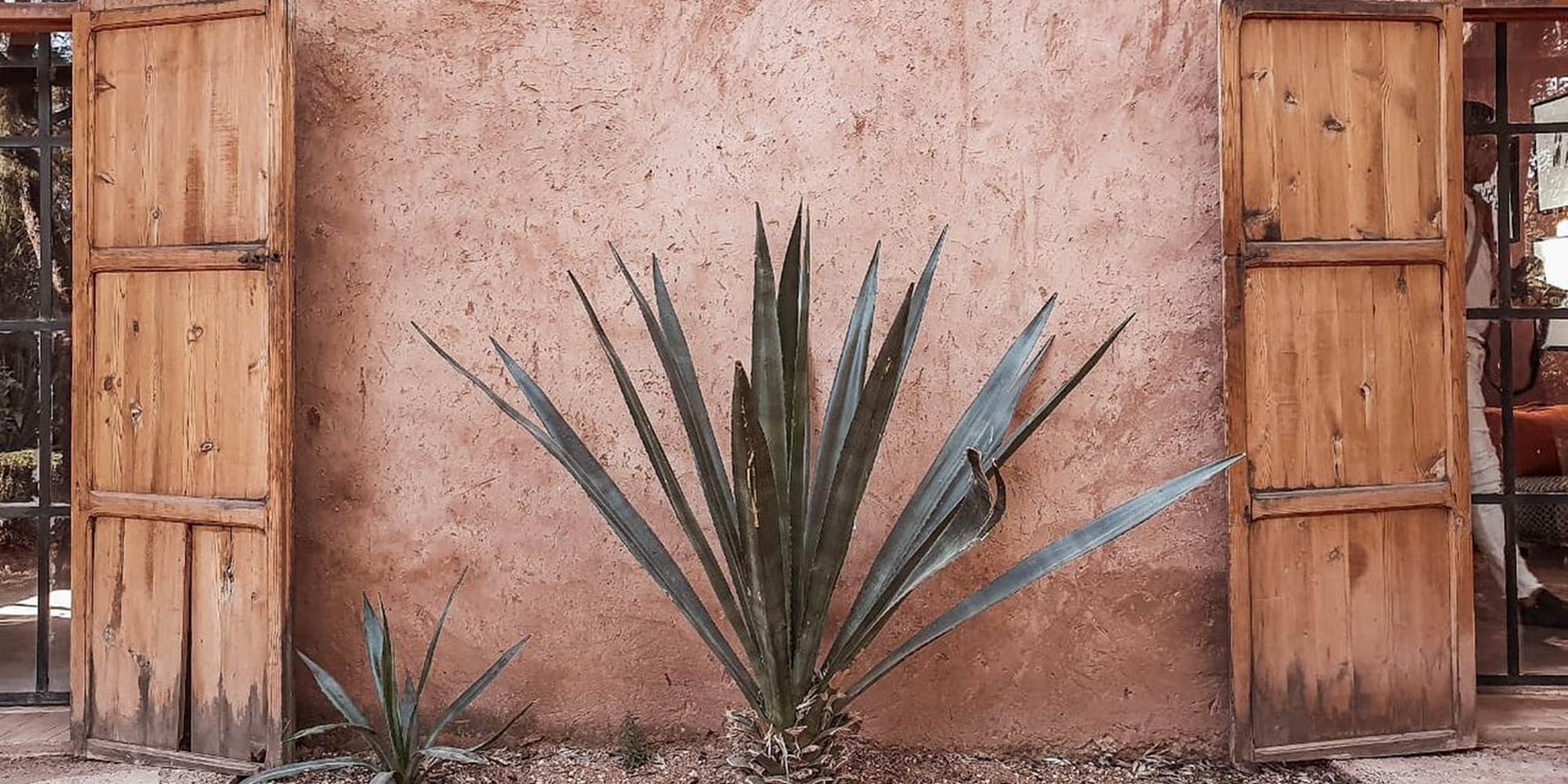 CACTUS-presta