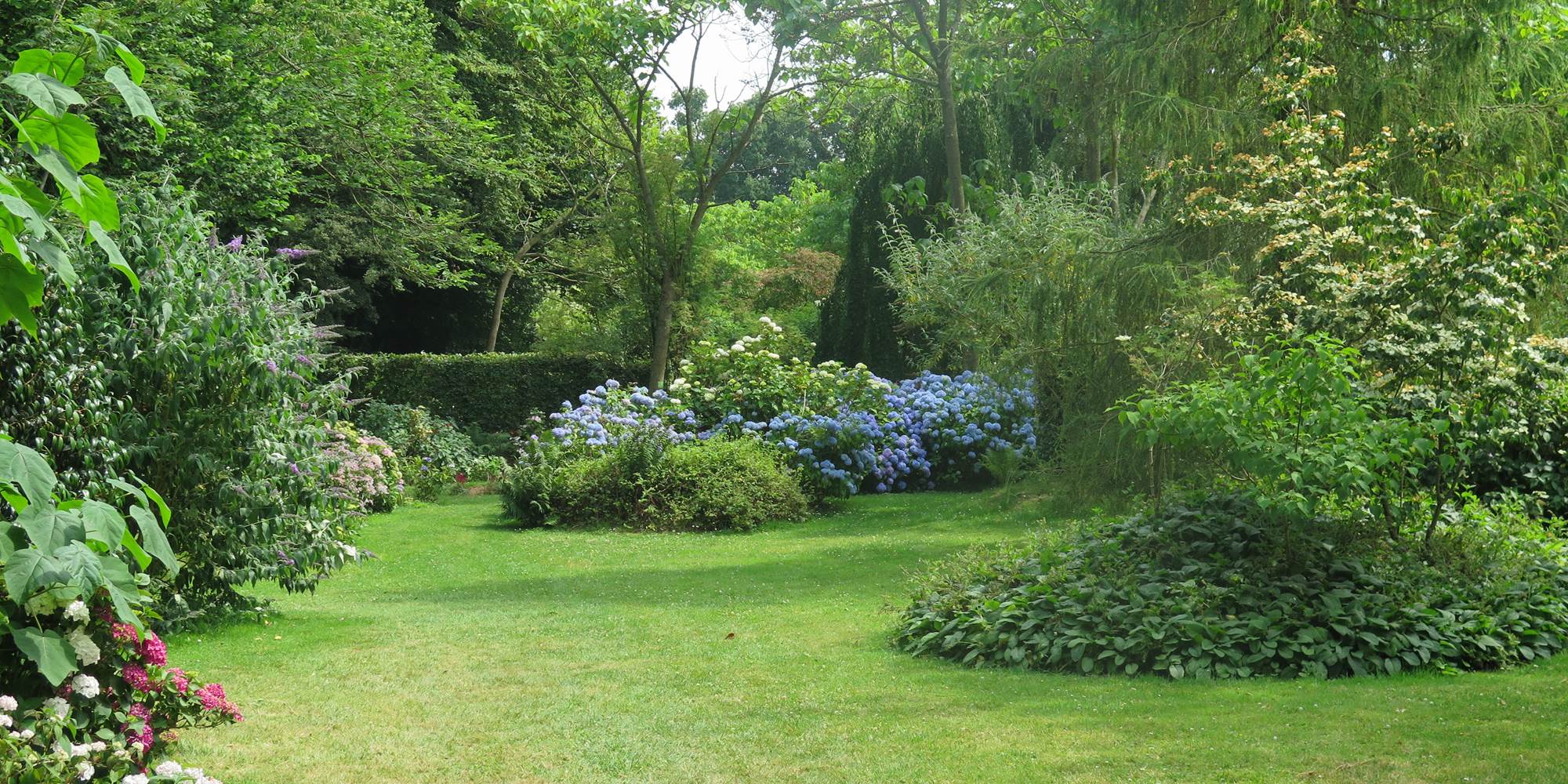 Jardin Shamrock - Varengeville sur mer