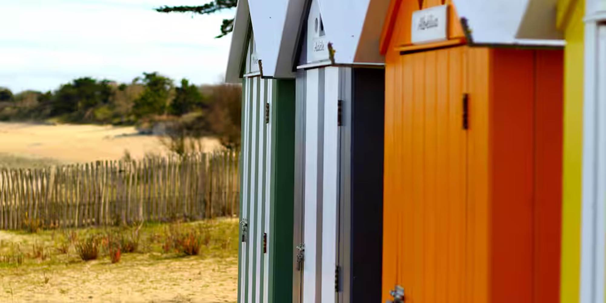 6bc7cfa4-9200-4de2-bce2-611dba9a337b