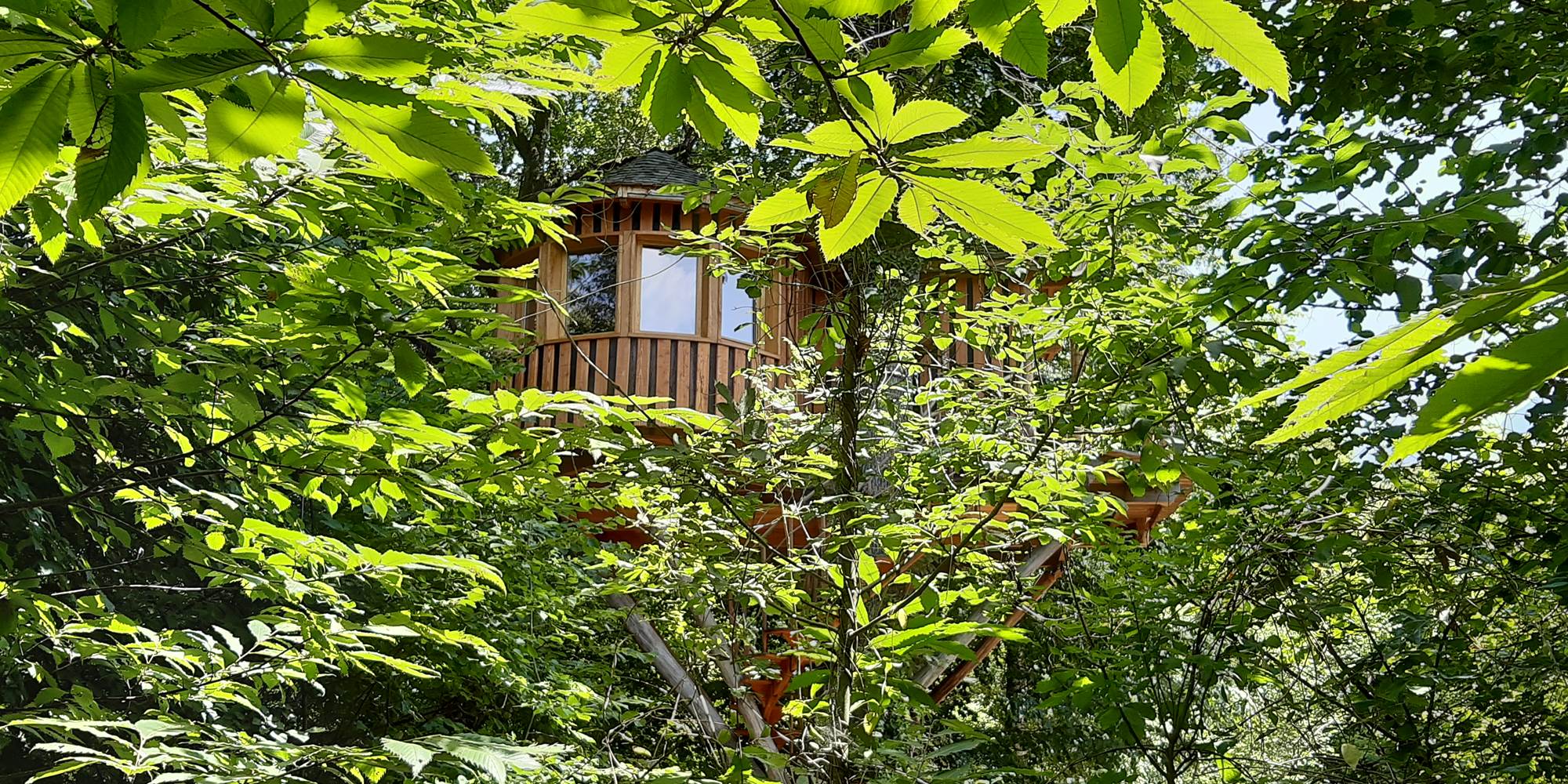 au milieu des feuilles