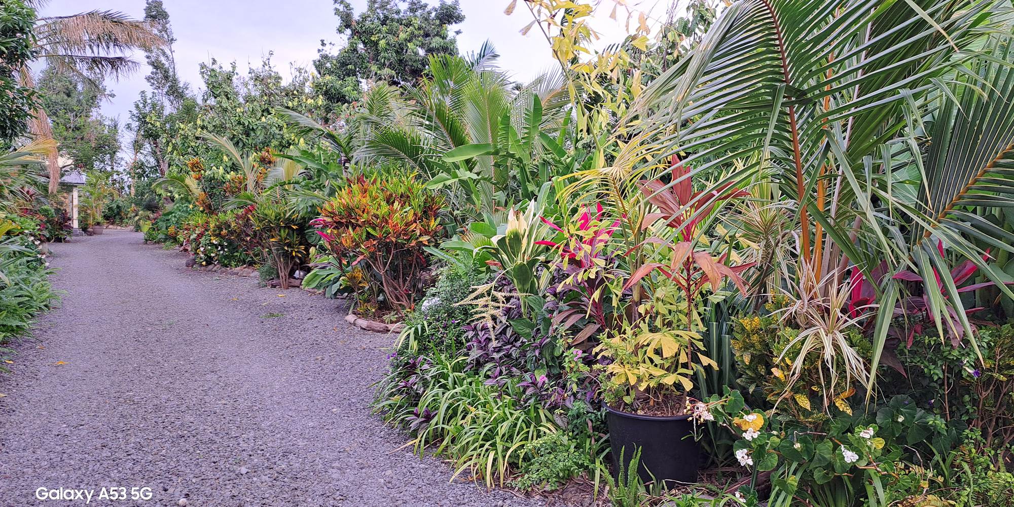 Entrée du jardin